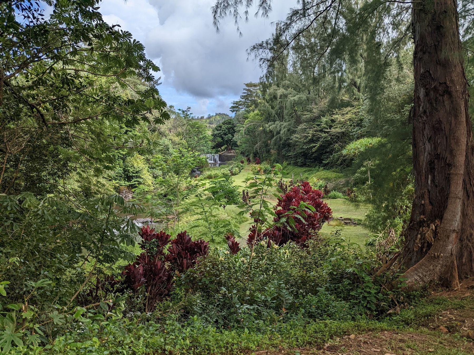 Wai Koa Loop Trail in Kīlauea, Kaua‘i photo 7