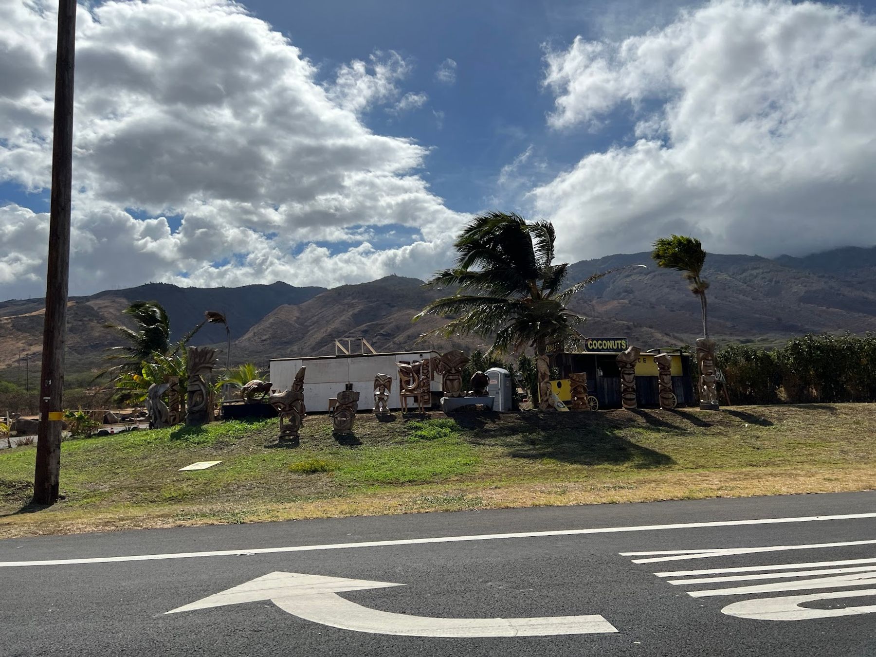 Photo 10 of The Coconut Inc in Māʻalaea, Maui