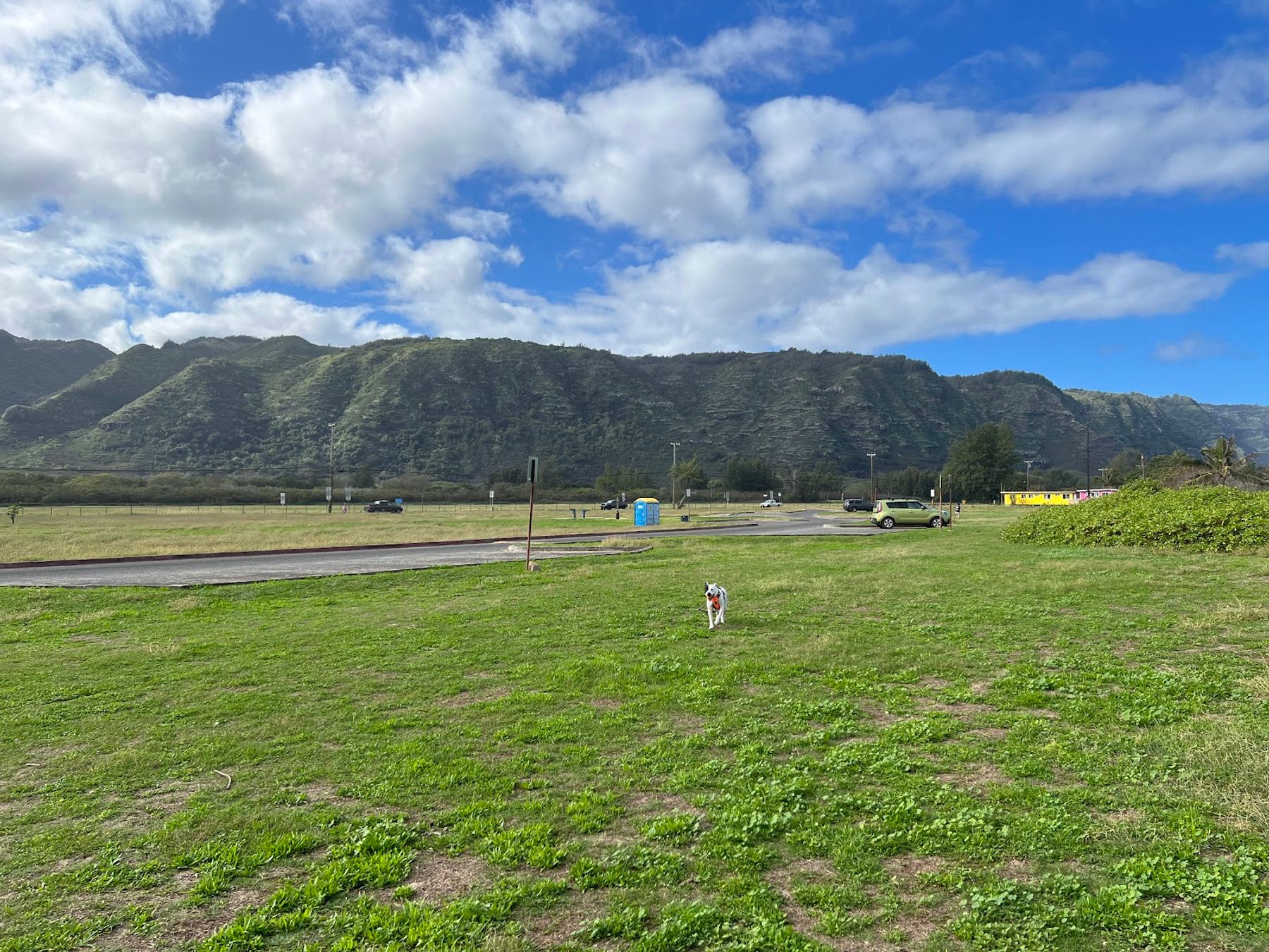 Photo 6 of Mokulēʻia Beach Park in Waialua & Mokulēʻia, Oahu