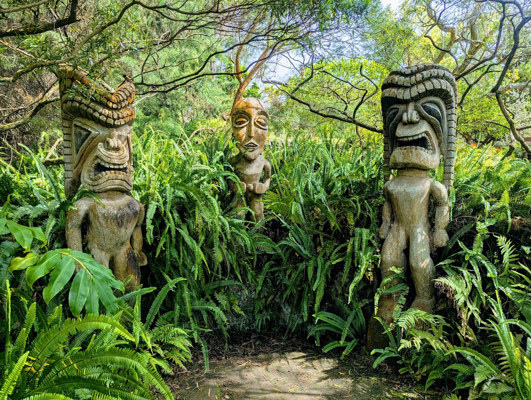 Photo 3 of Kula Botanical Garden in Kula, Maui