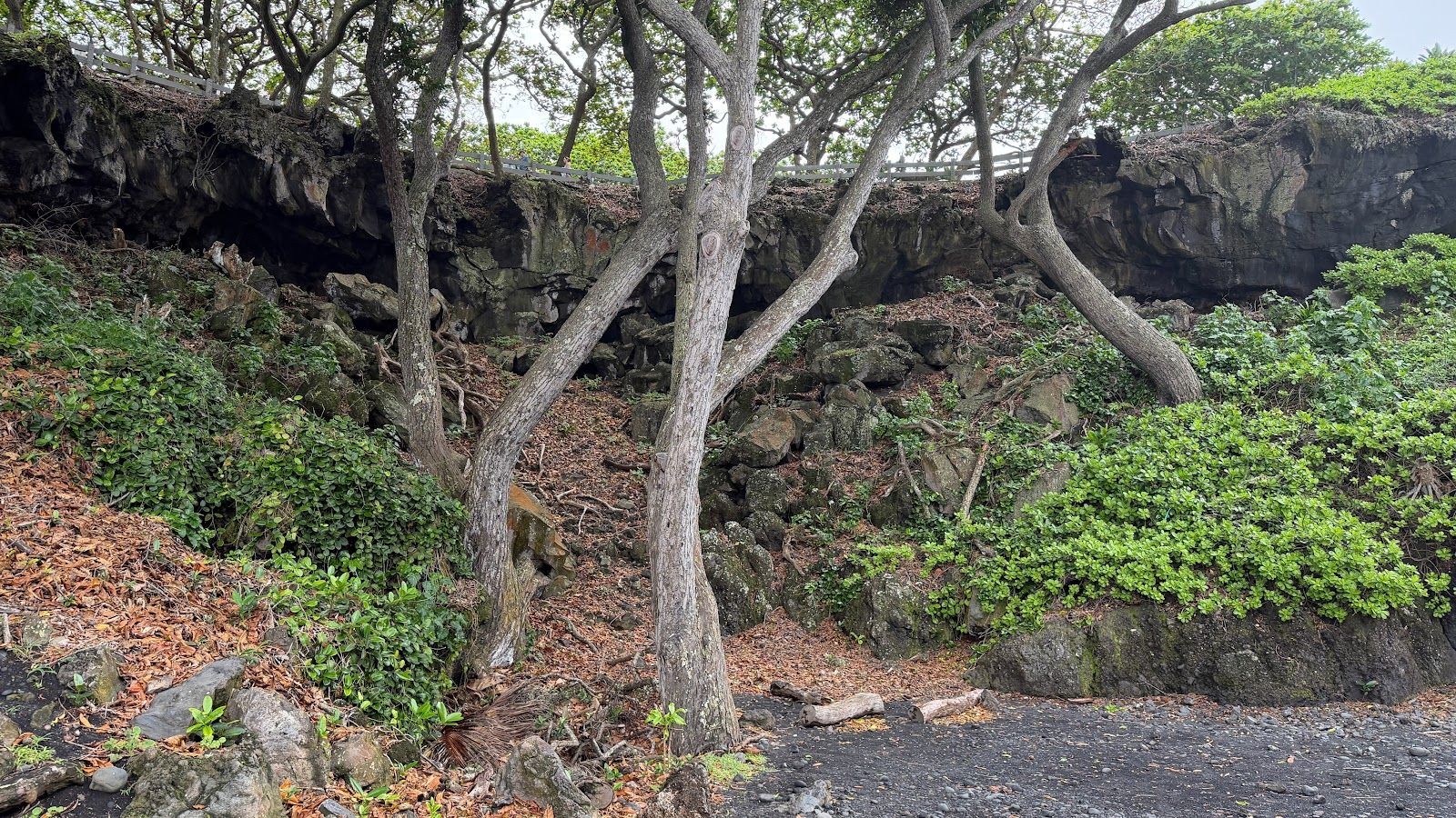 Photo 3 of Ke Ala Loa O Maui / Piilani Trail in Hāna, Maui