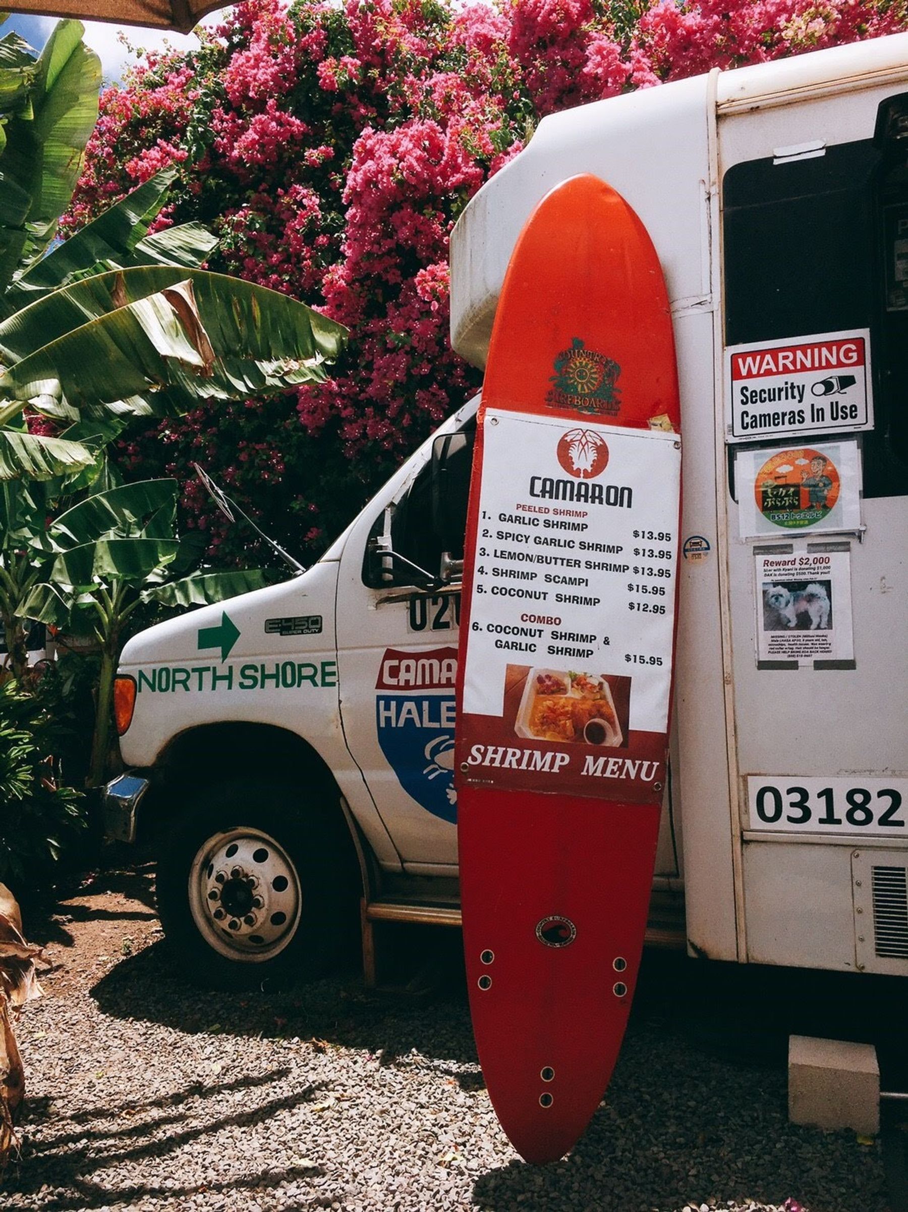 Photo 9 of Camaron Shrimp Truck in Haleʻiwa, Oahu