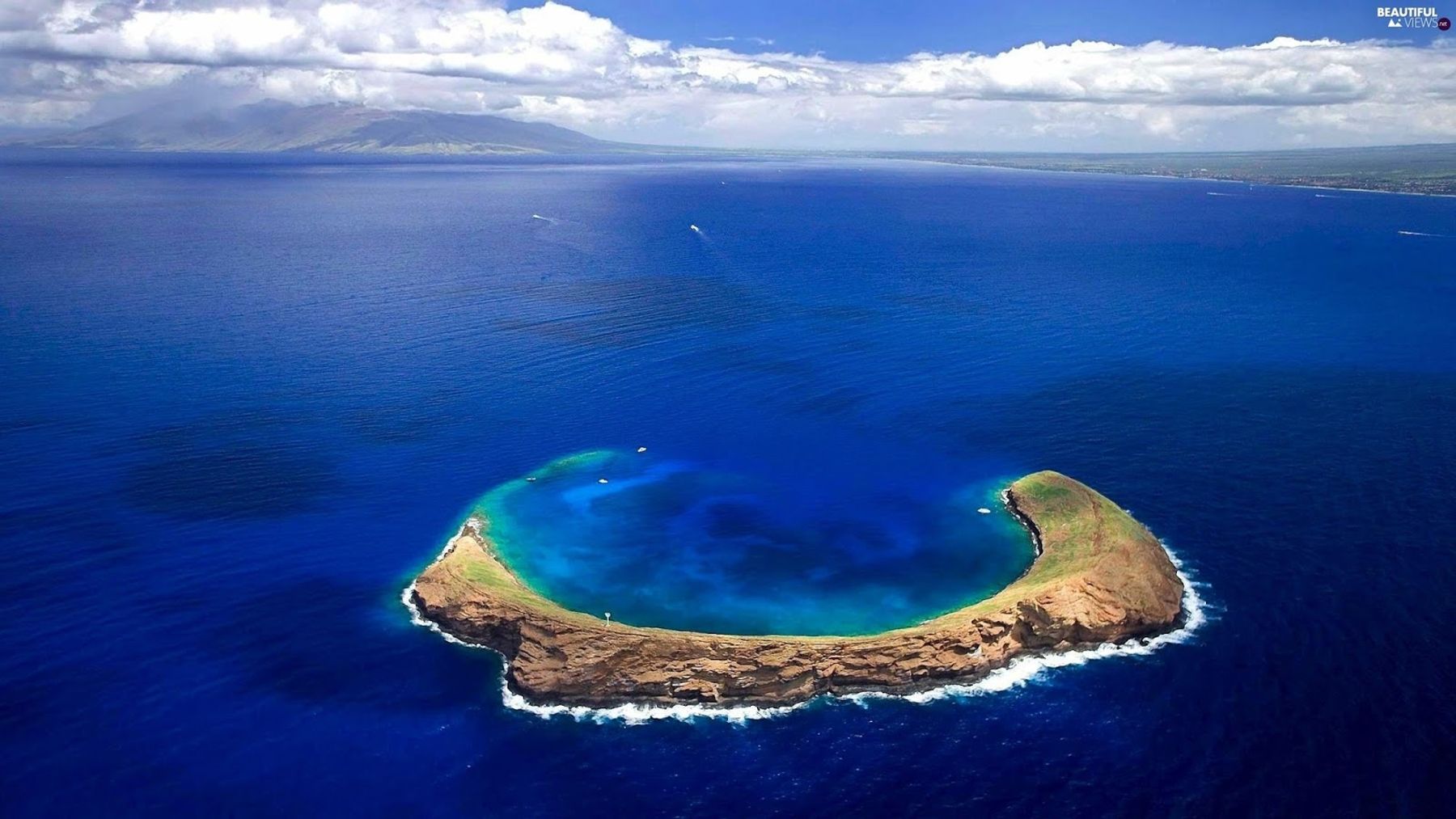 Photo 3 of Snorkel Molokini in Kapalua, Maui