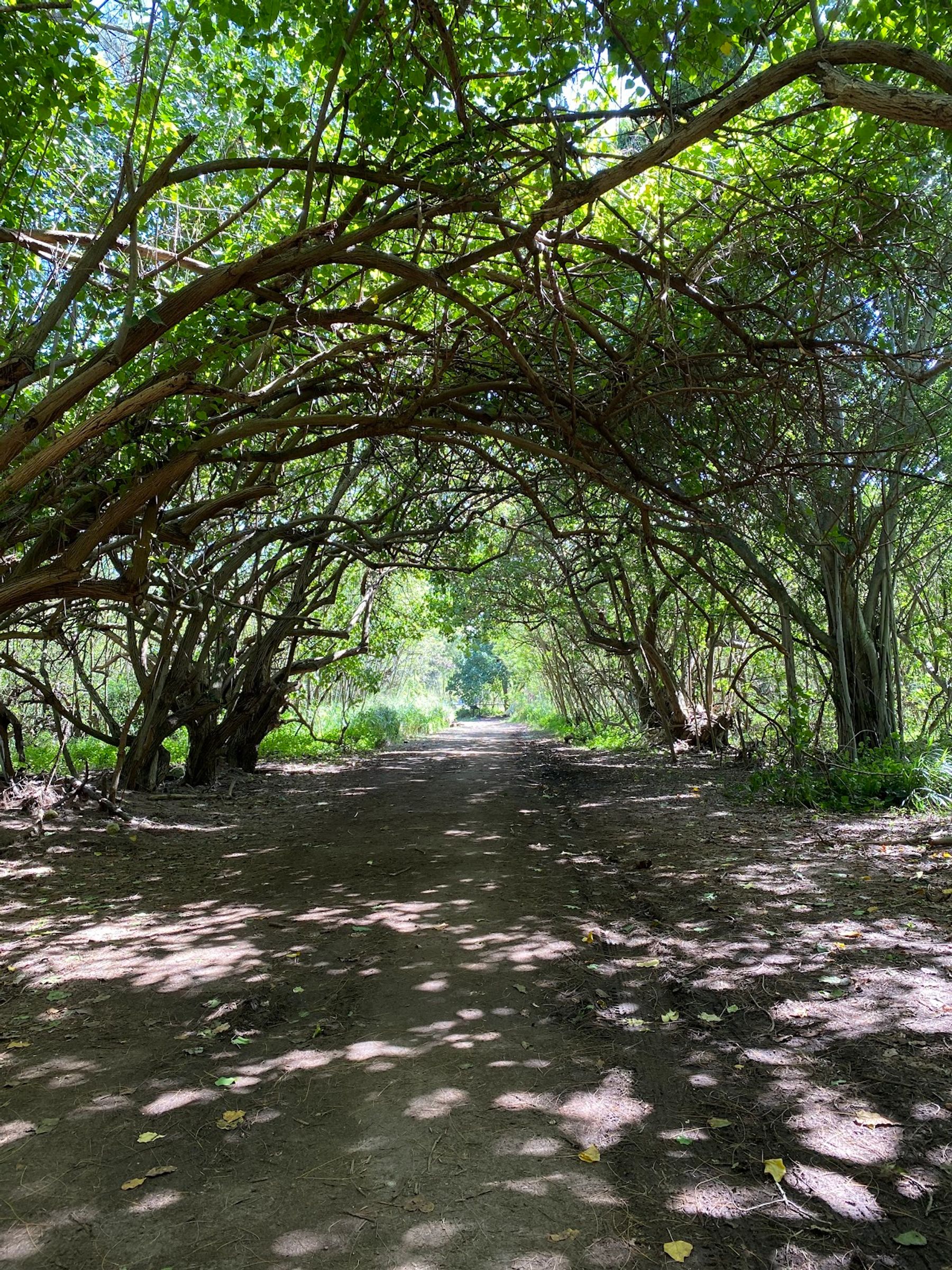 Photo 3 of Kawela Bay Beach Park in Kahuku & Turtle Bay, Oahu