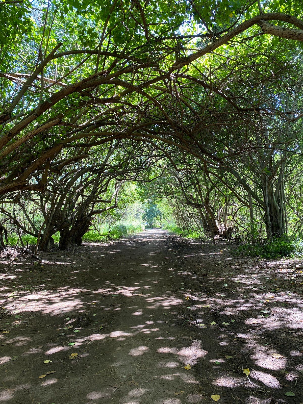 Photo 3 of Kawela Bay Beach Park in Kahuku & Turtle Bay, Oahu