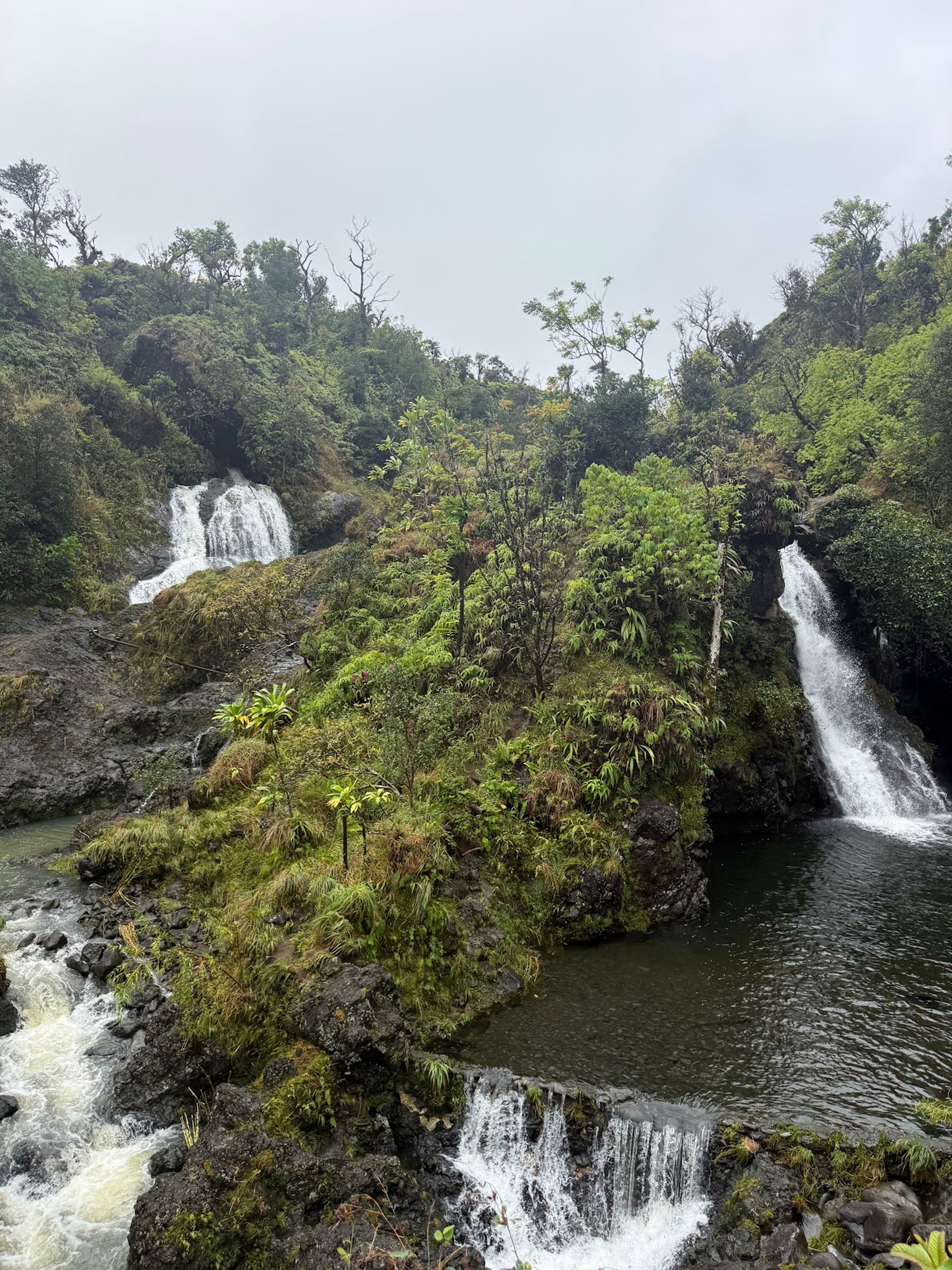 Photo 4 of Hawaii By Storm Tours in Kahului, Maui