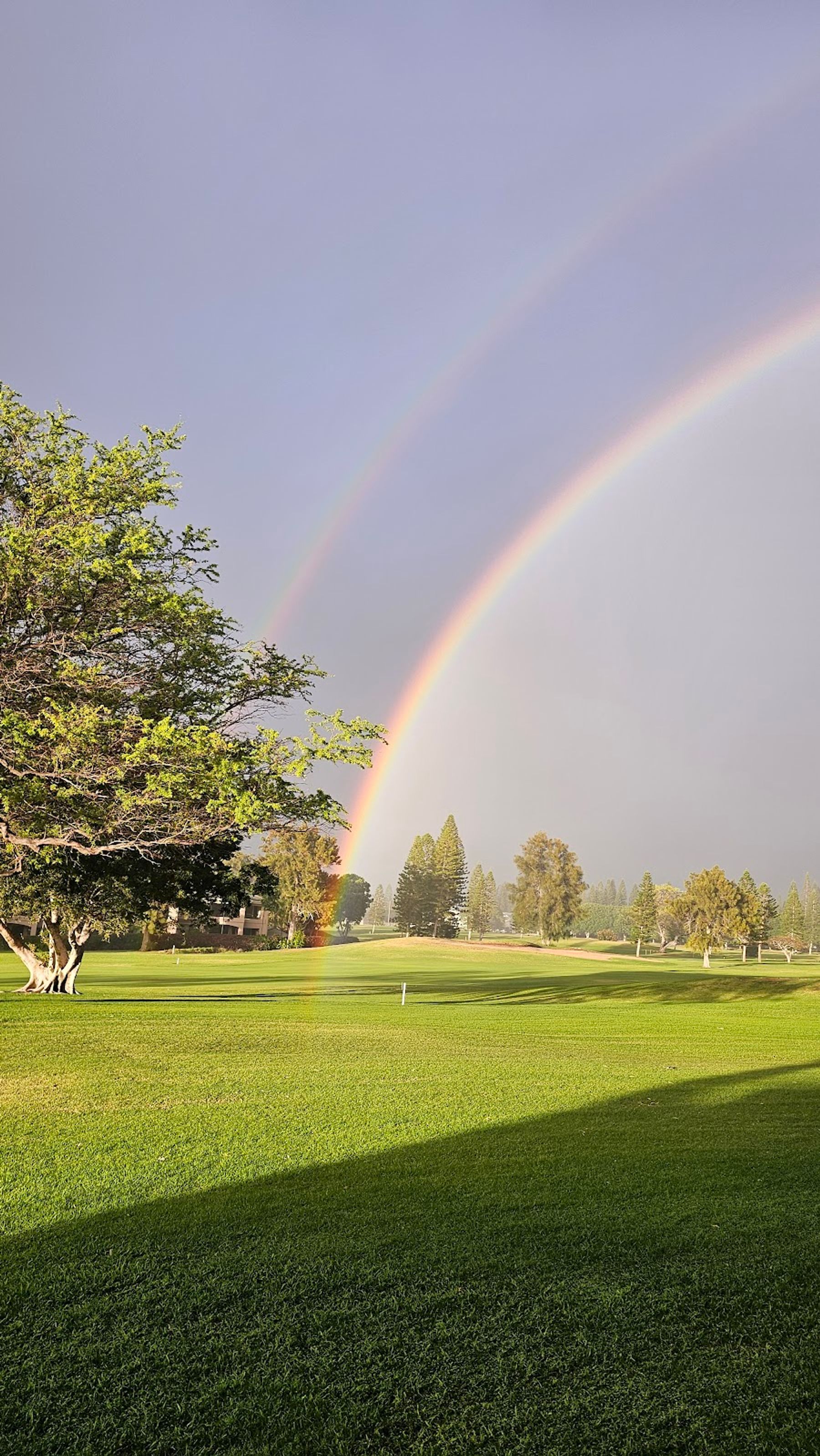 Photo 10 of The Village Course at Waikōloa in Waikoloa, Big Island