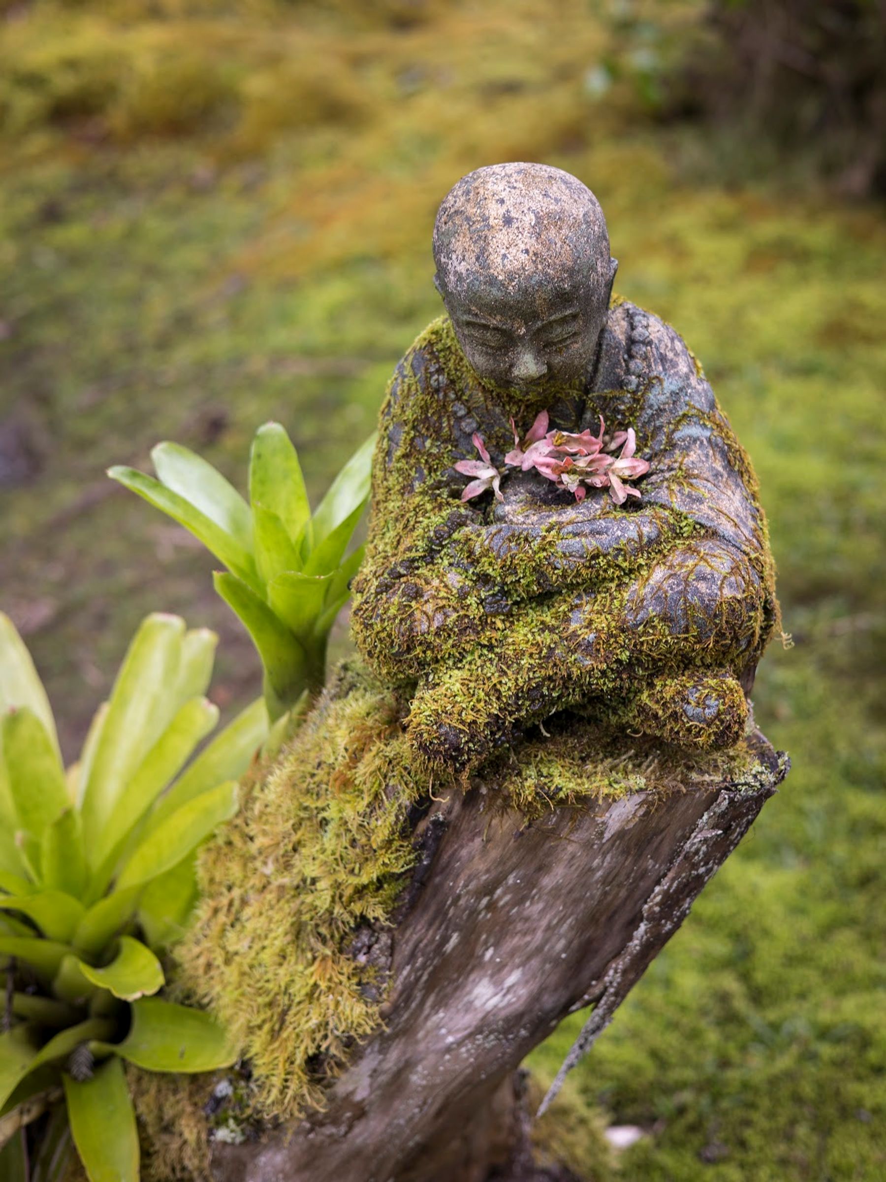 Photo 7 of Café Ono & Catering in Volcano, Big Island