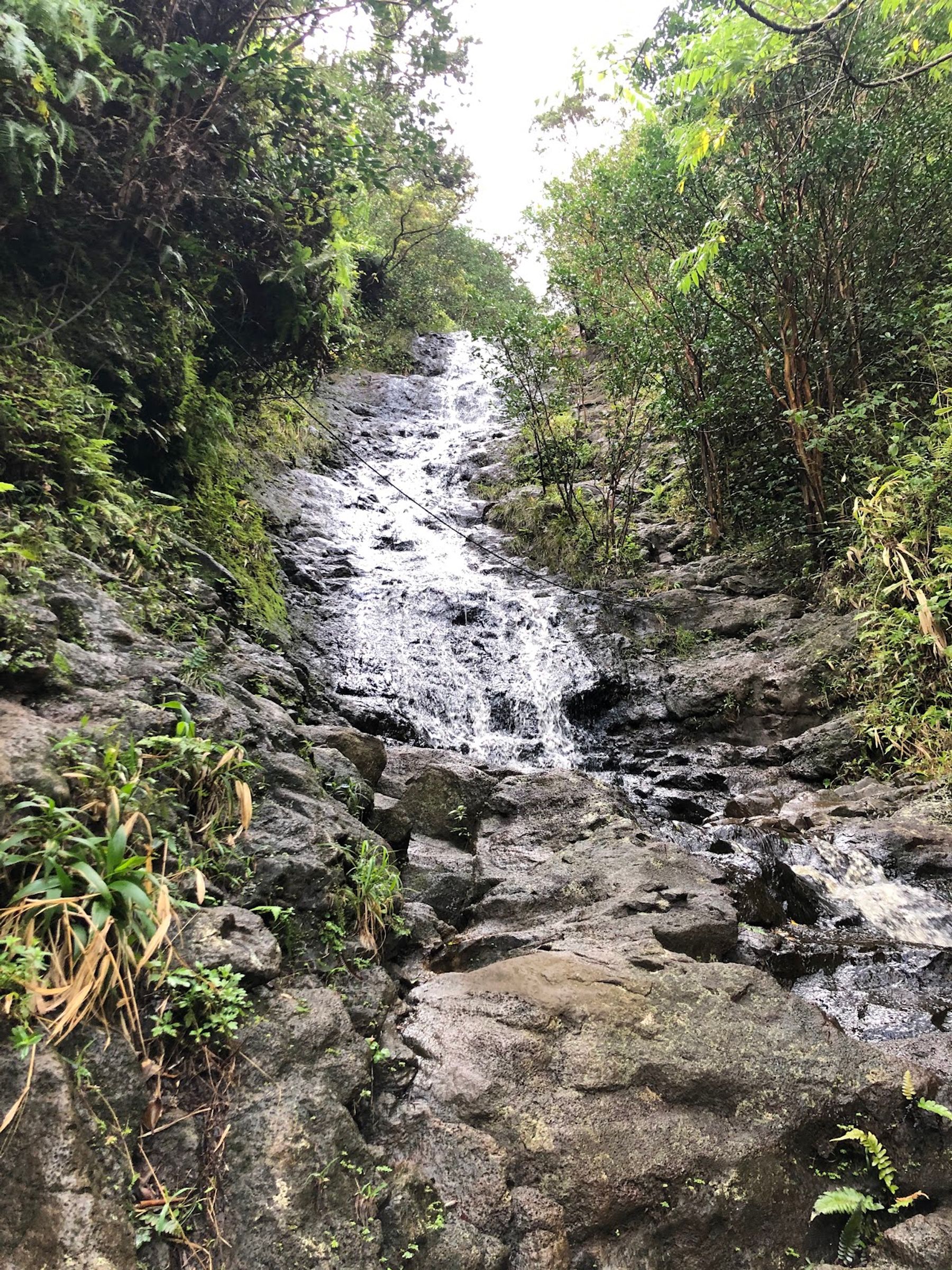 Photo 3 of Kaʻau Crater Trail in Kaimukī & Pālolo, Oahu