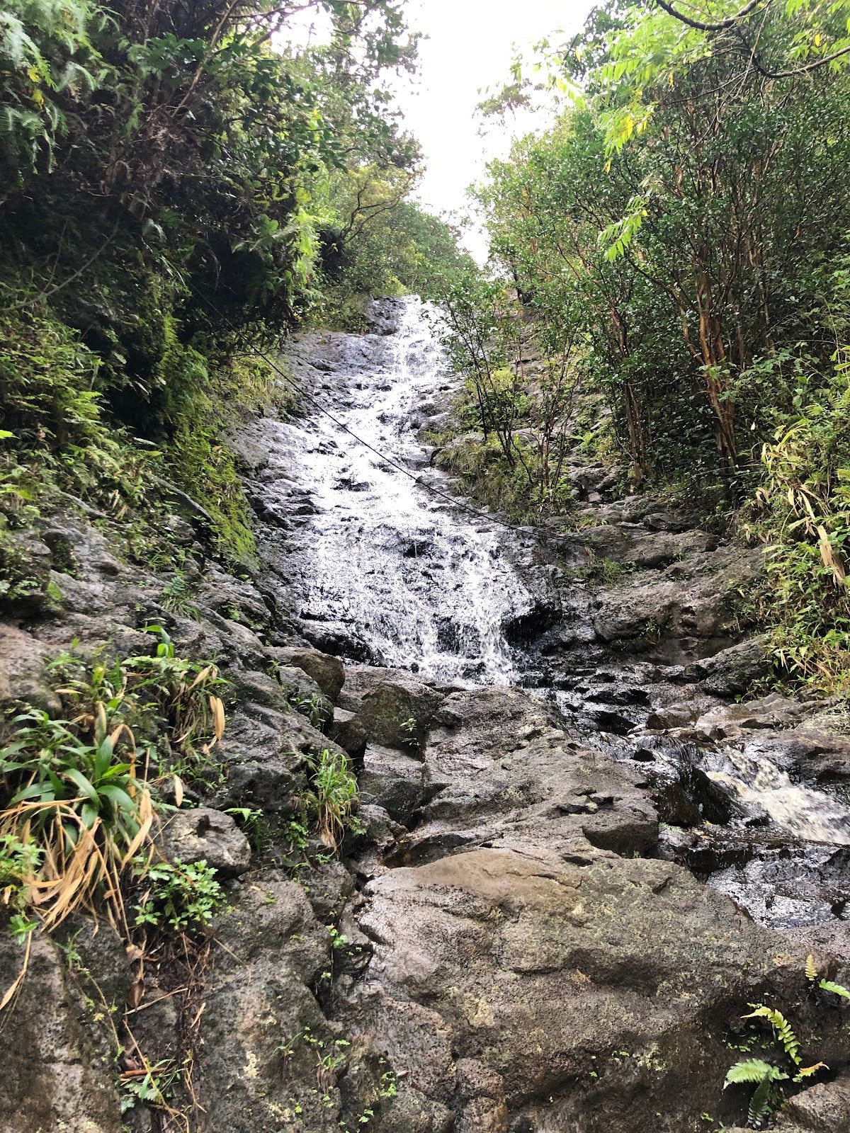 Photo 3 of Kaʻau Crater Trail in Kaimukī & Pālolo, Oahu