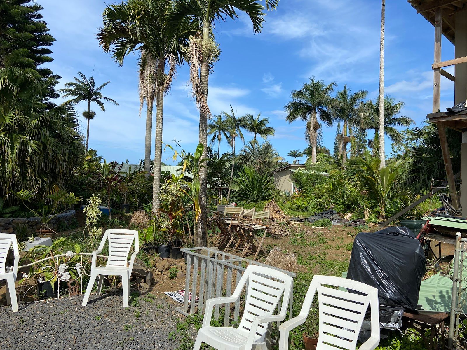 Photo 3 of Maui Garden Grove Cafe in Haʻikū, Maui