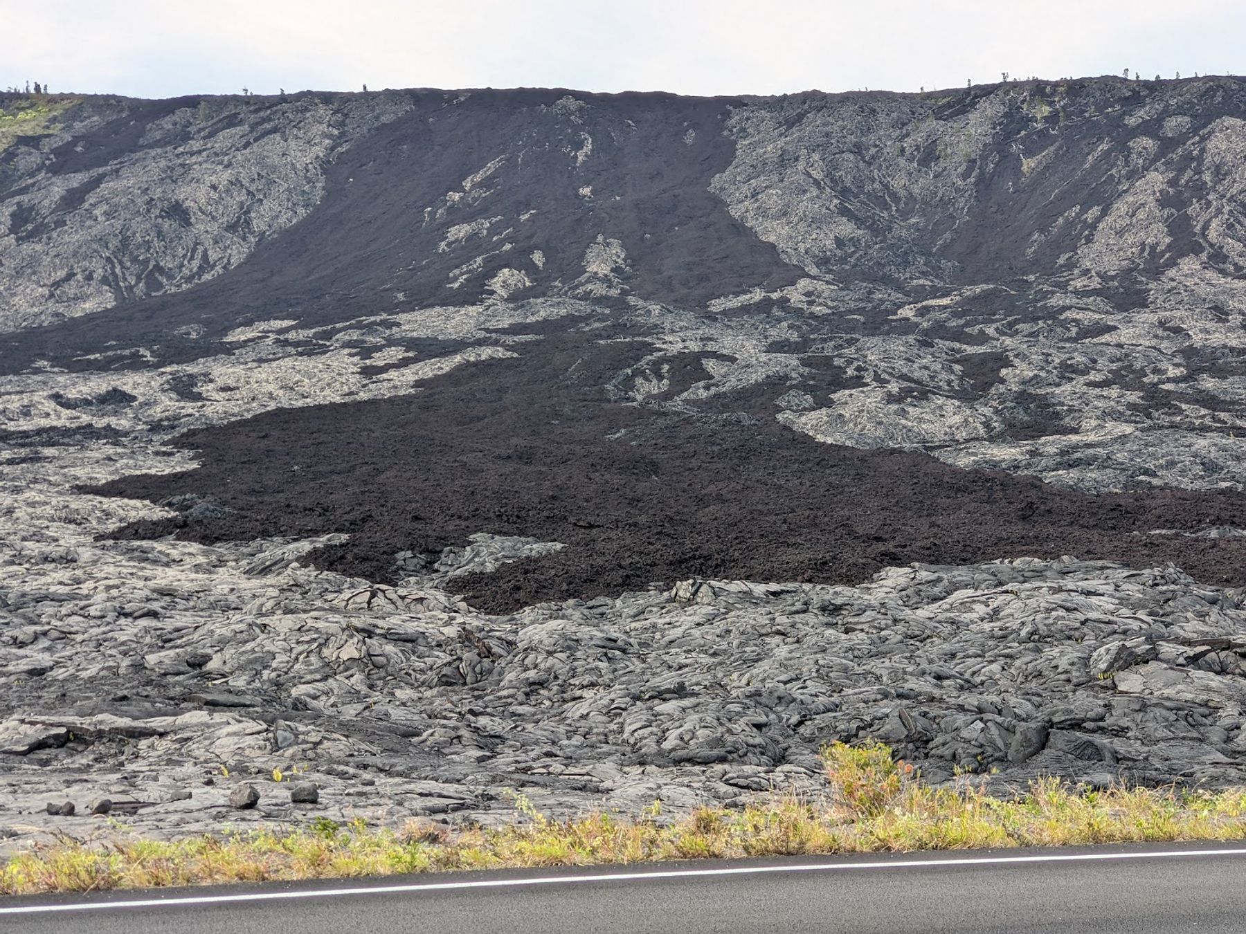 Photo 10 of Chain of Craters Road in Volcano, Big Island