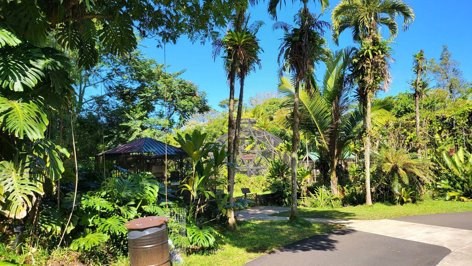 Photo 2 of Panaewa Rainforest Zoo and Gardens in Hilo, Big Island
