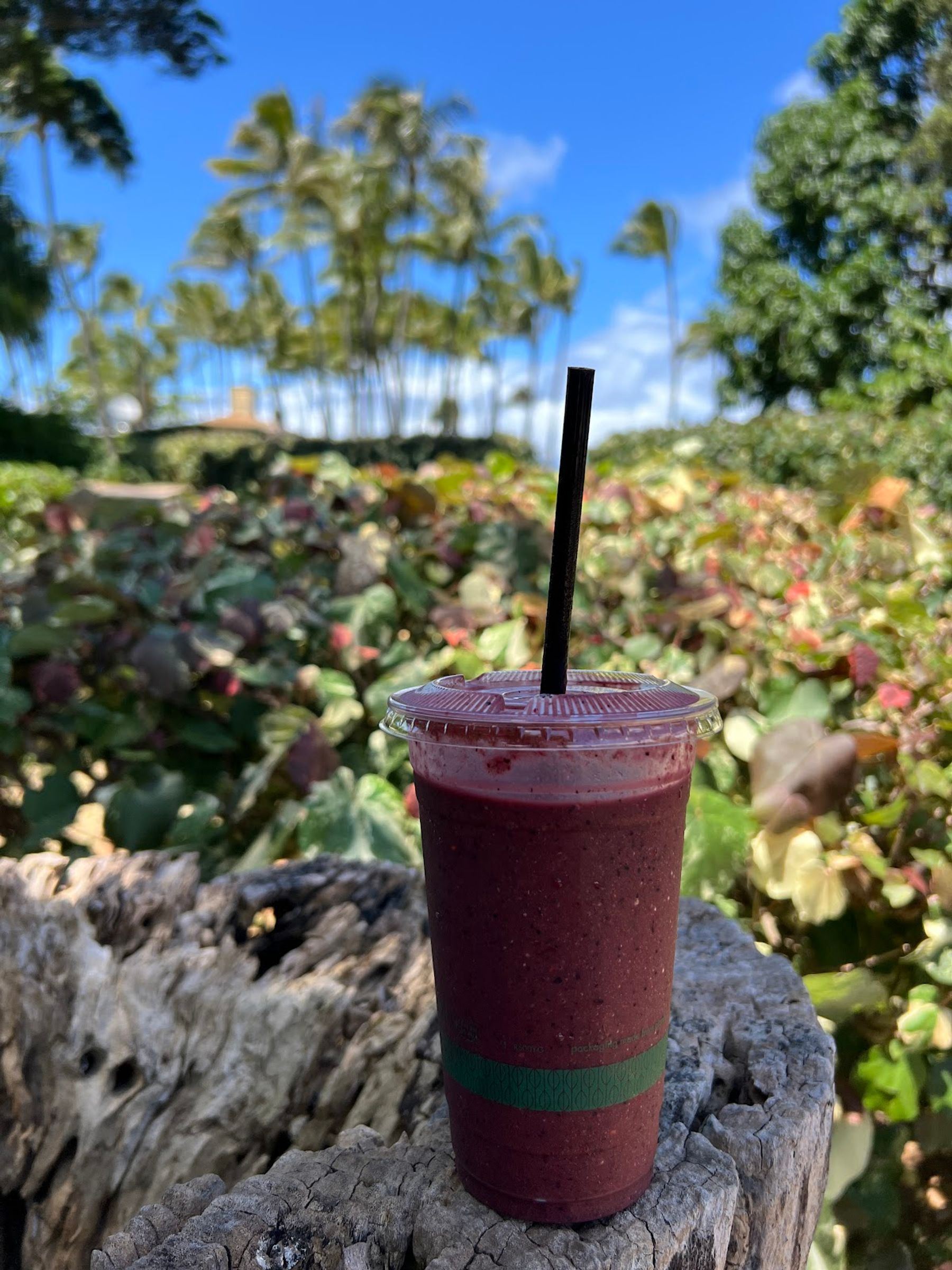 Photo 8 of Baya Bowls in Kapalua, Maui