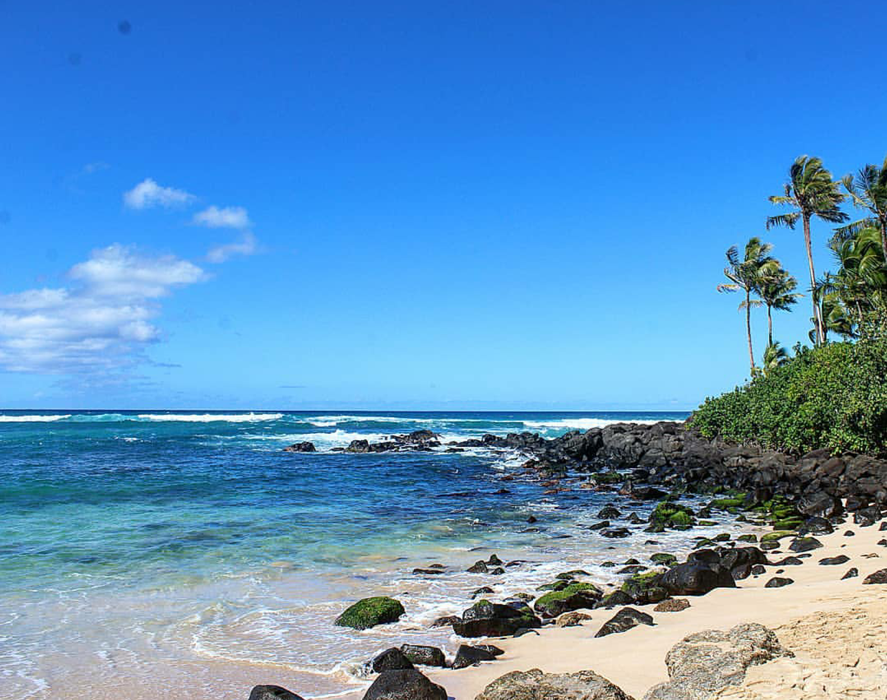Photo 6 of Turtle Beach in Kahuku & Turtle Bay, Oahu