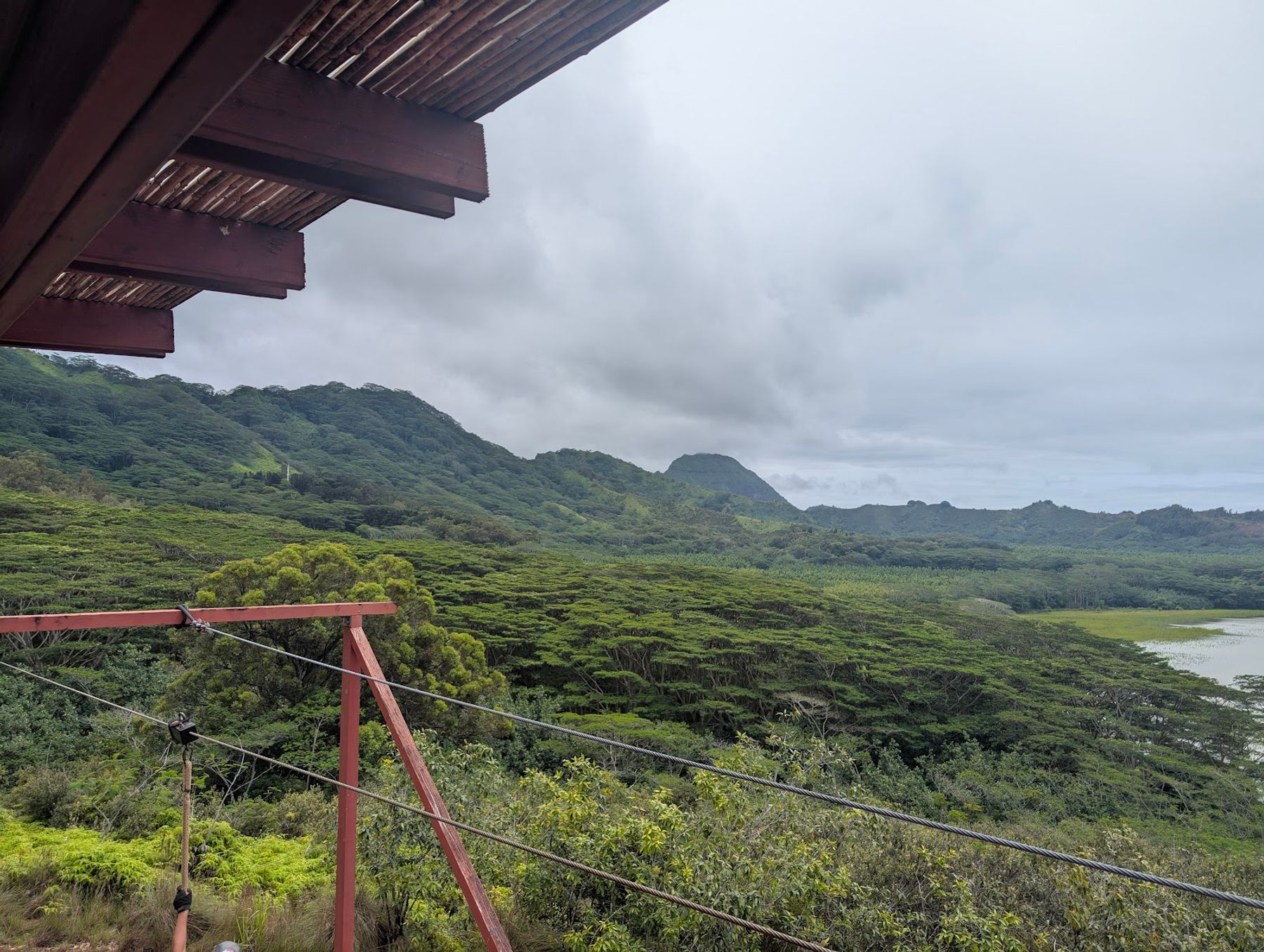 Koloa Zipline in Kōloa, Kaua‘i photo 4