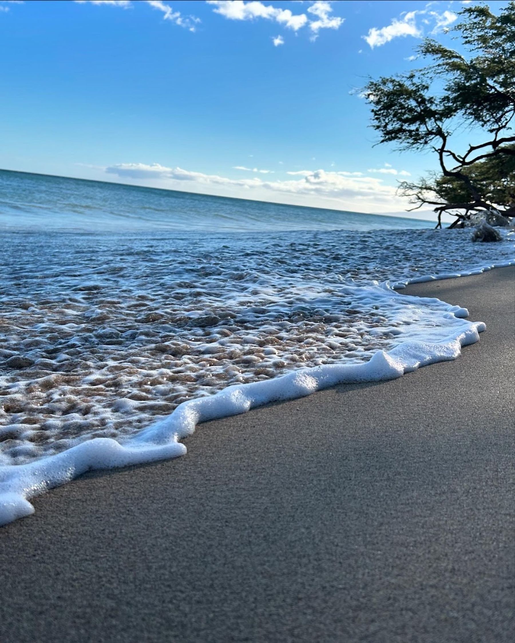 Photo 3 of Pāpalaua Wayside Park in Olowalu, Maui