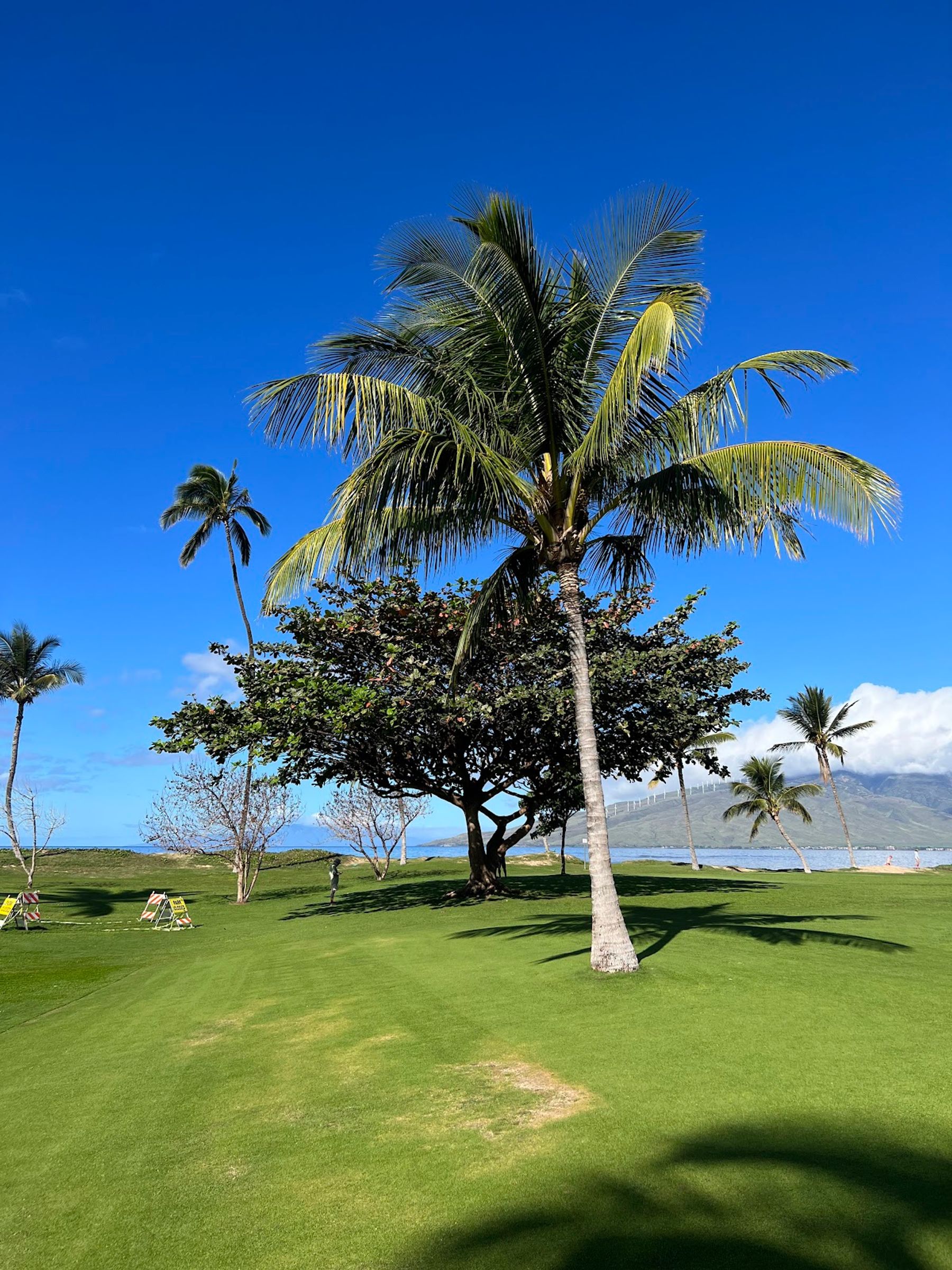 Photo 8 of Waipuilani Park in Kīhei, Maui