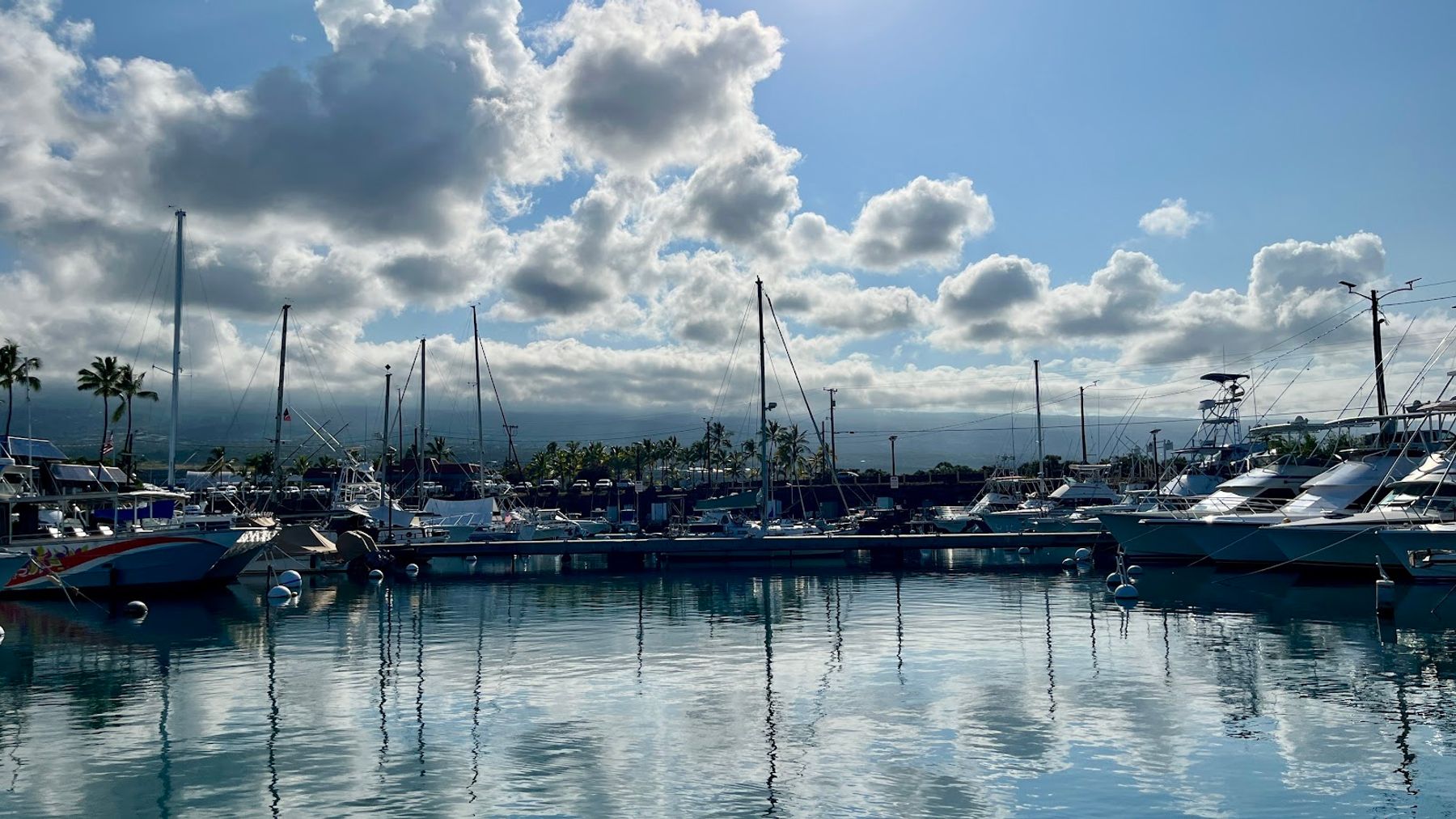 Photo 6 of Captain Cook Cruises in Kailua-Kona, Big Island