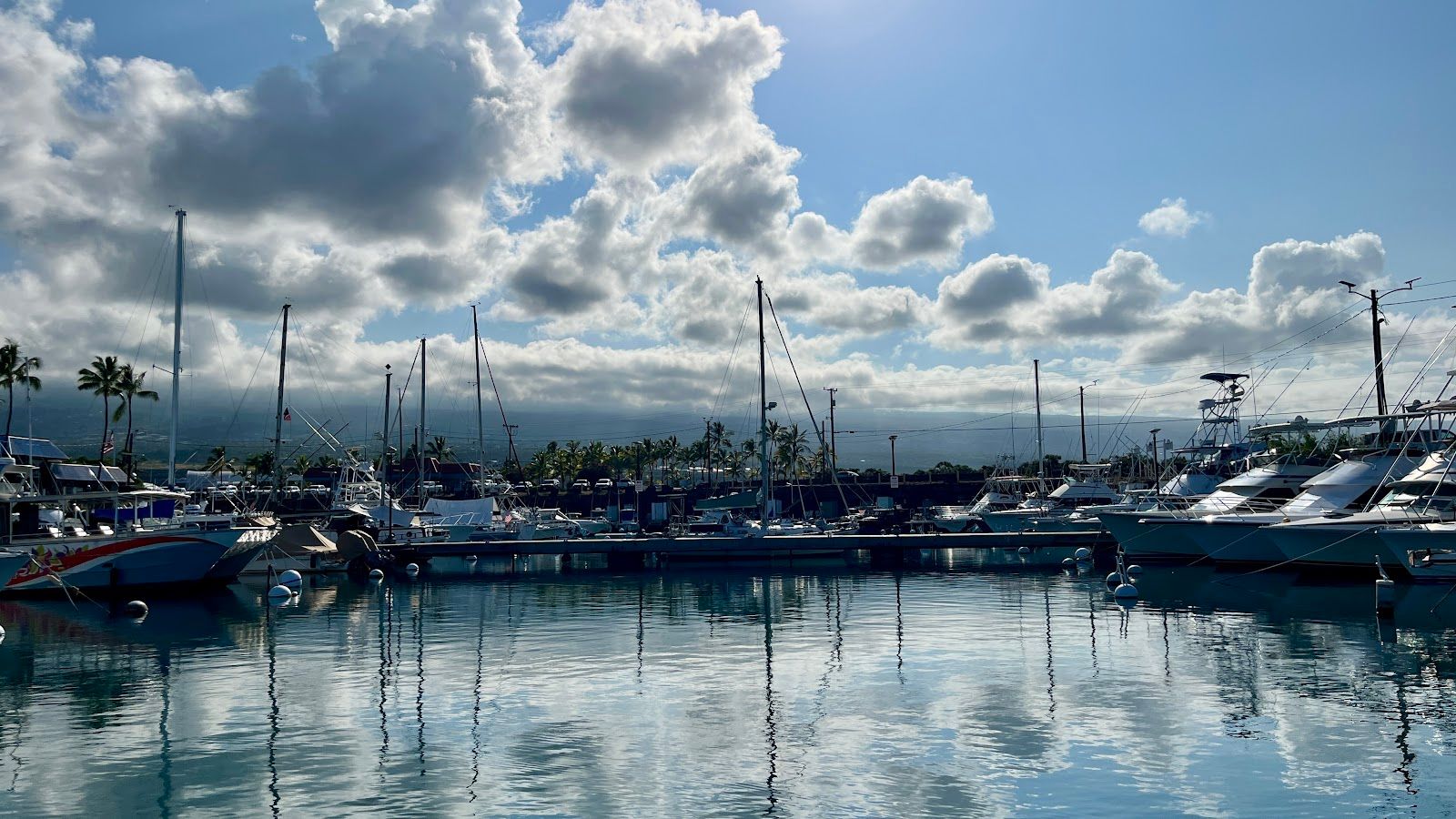 Photo 6 of Captain Cook Cruises in Kailua-Kona, Big Island