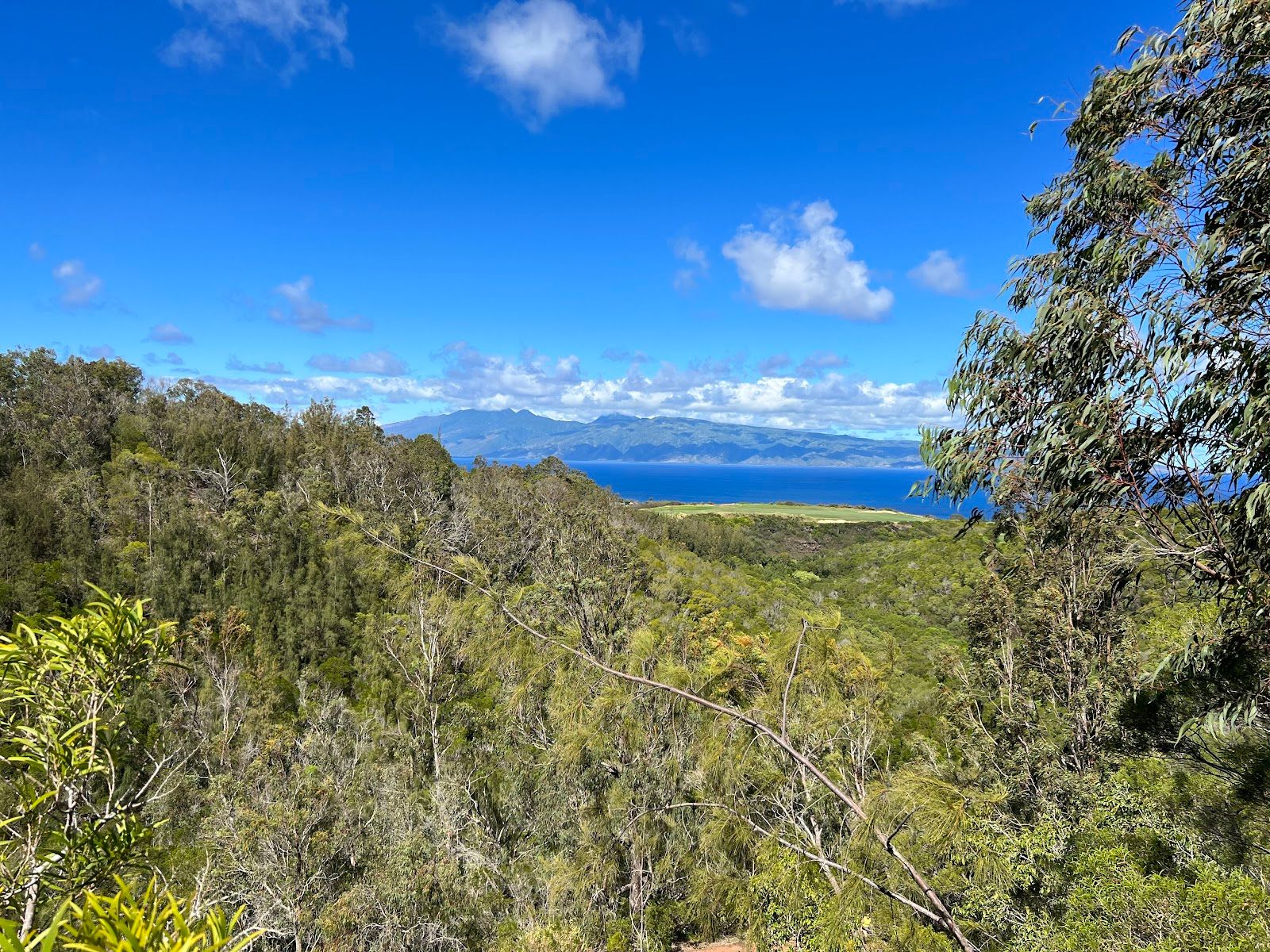 Photo 3 of Mahana Ridge Trail in Kapalua, Maui