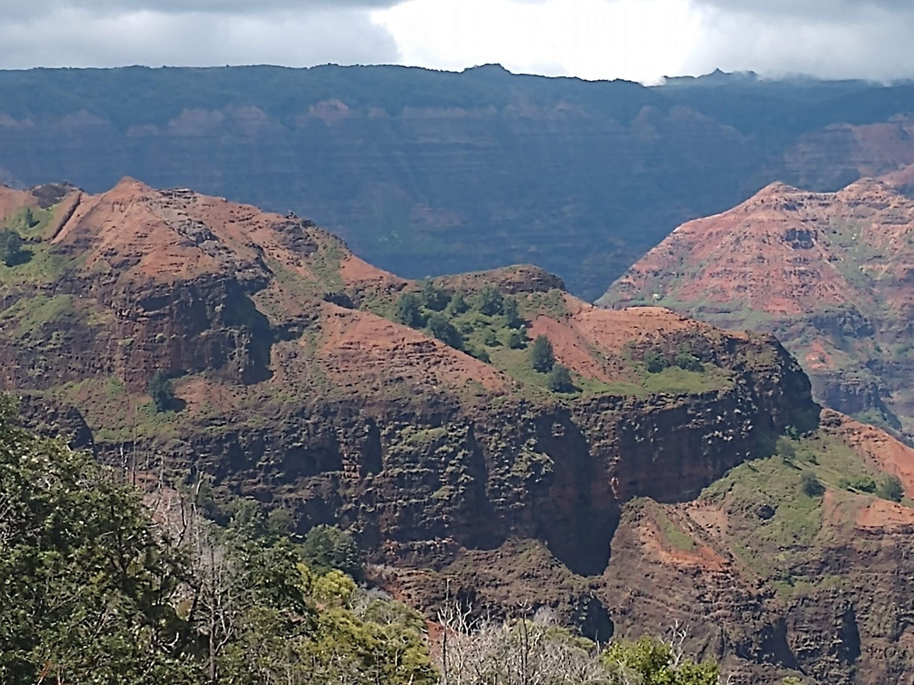 Waimea Canyon State Park in Waimea, Kaua‘i photo 4