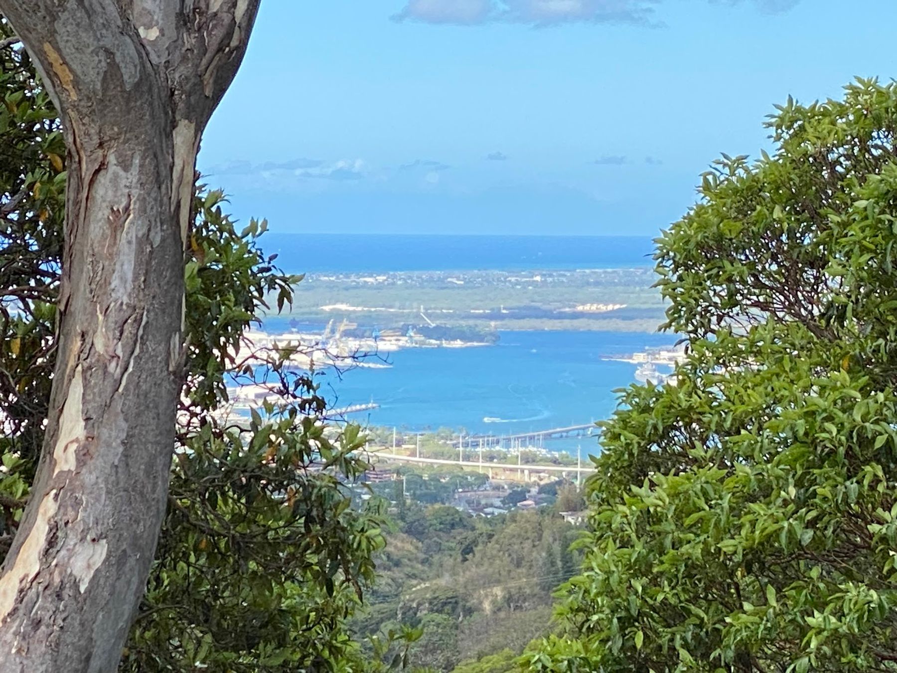 Photo 10 of ʻAiea Loop Trailhead in Pearl Harbor & ʻAiea, Oahu
