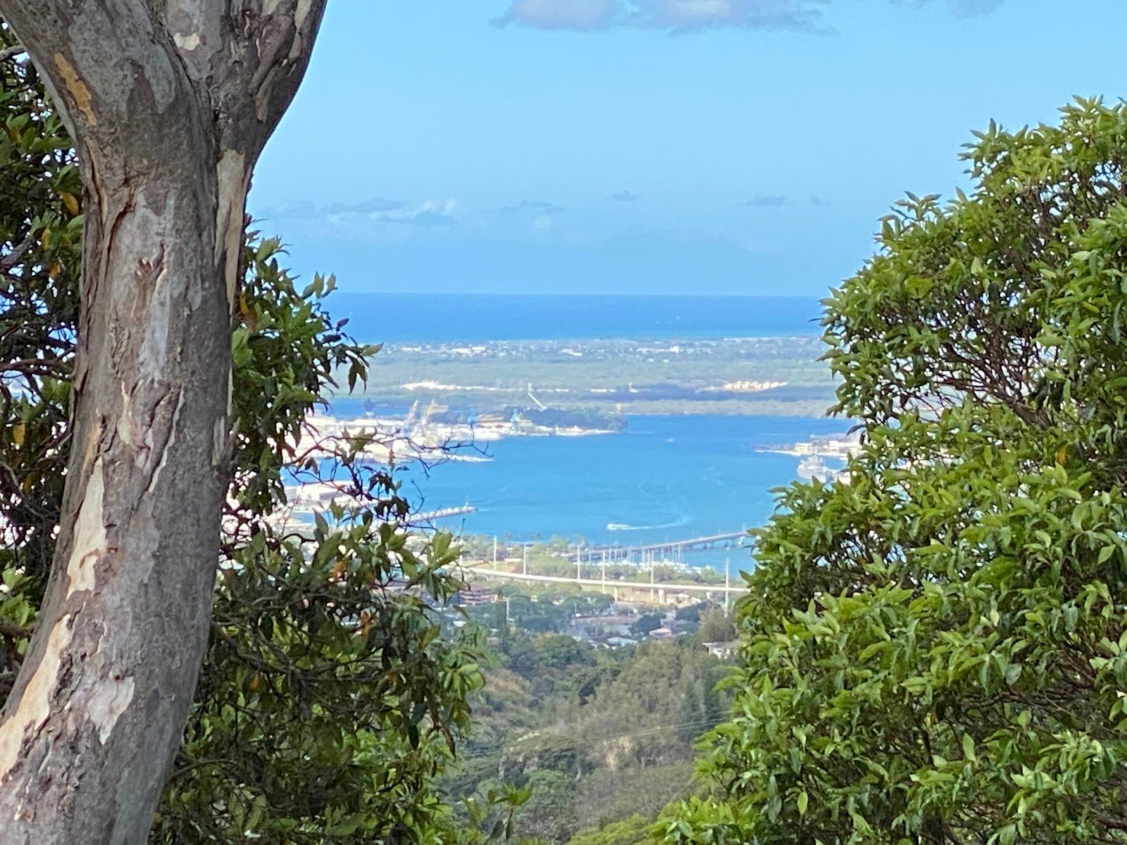 Photo 10 of ʻAiea Loop Trailhead in Pearl Harbor & ʻAiea, Oahu
