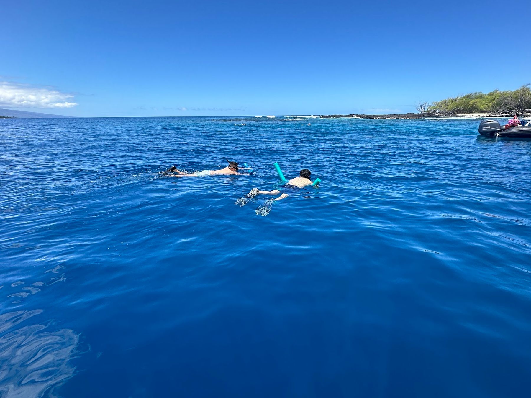 Photo 8 of Snorkel Big Island in Kailua-Kona, Big Island