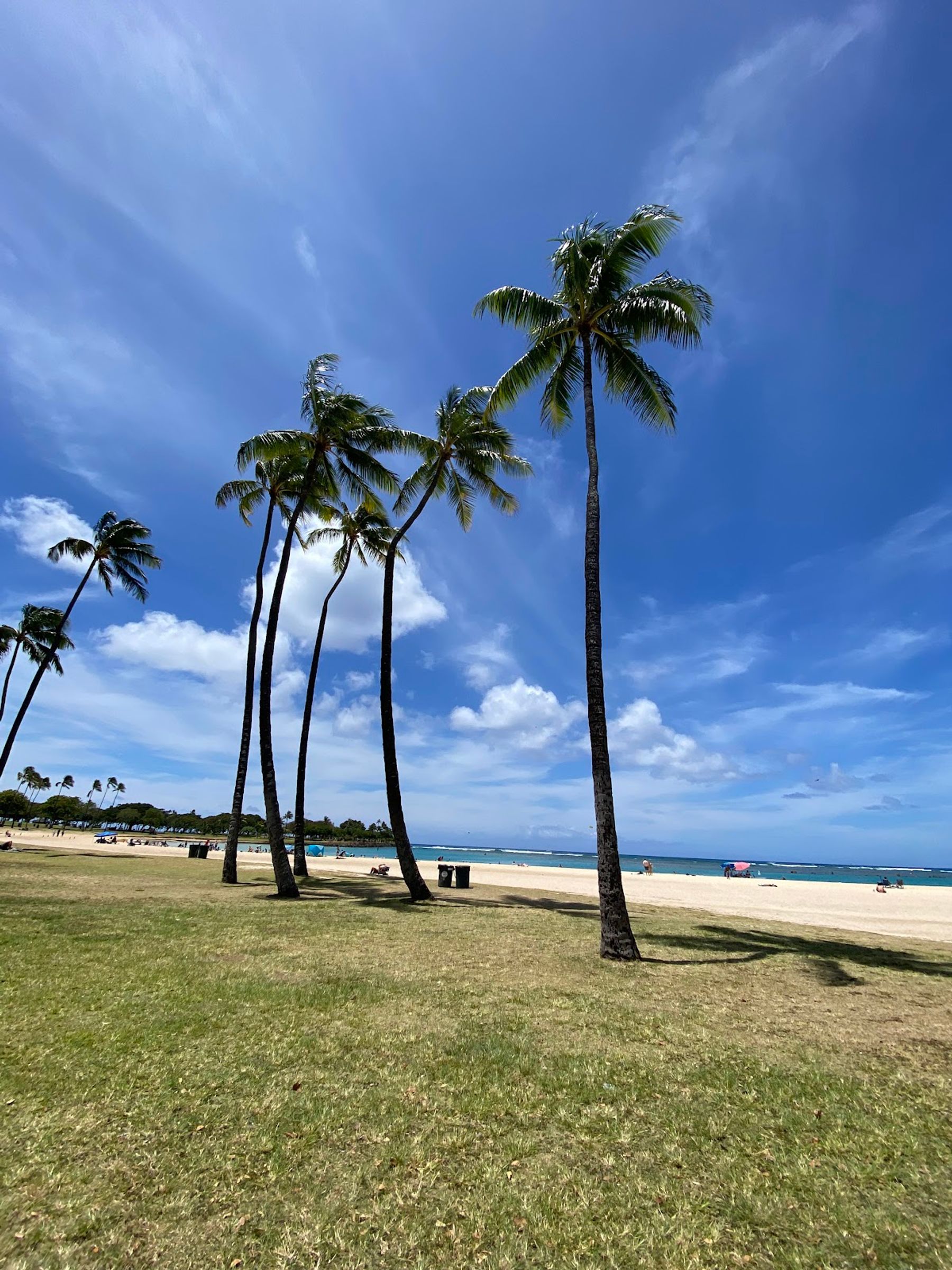Photo 9 of Magic Island in Ala Moana & Mōʻiliʻili, Oahu