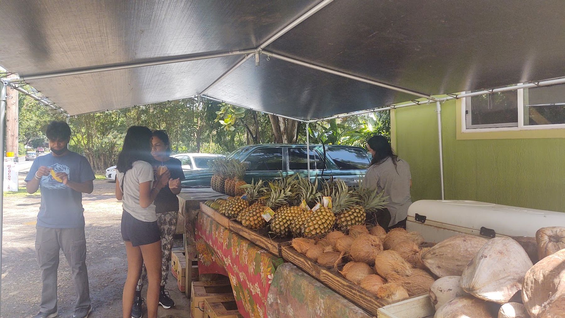 Photo 10 of Kualoa Coconut Man in Kualoa & North Windward, Oahu