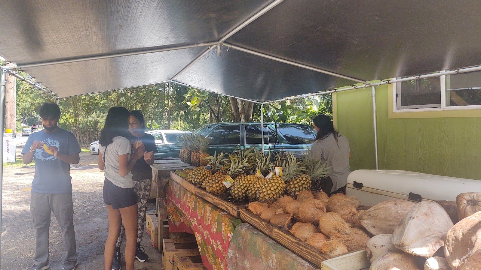 Photo 10 of Kualoa Coconut Man in Kualoa & North Windward, Oahu