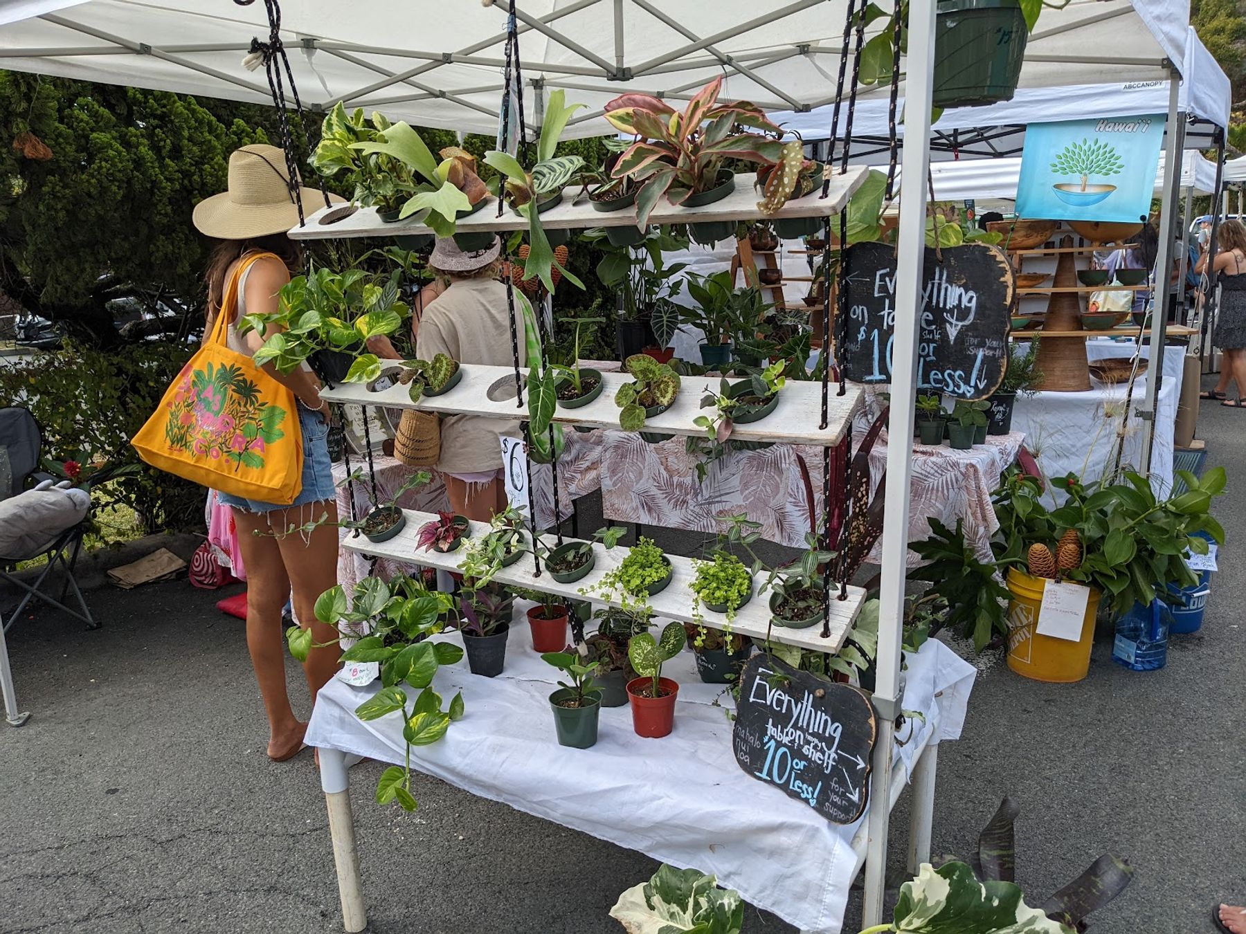 Photo 1 of KailuaTown Farmers Market in Kailua & Lanikai, Oahu