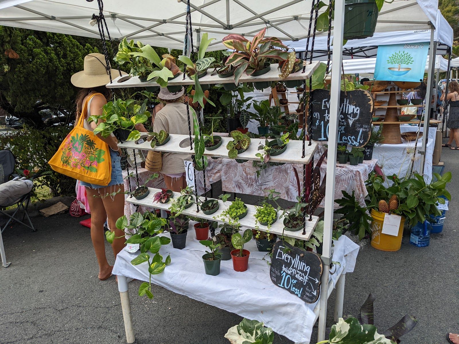 Photo 1 of KailuaTown Farmers Market in Kailua & Lanikai, Oahu