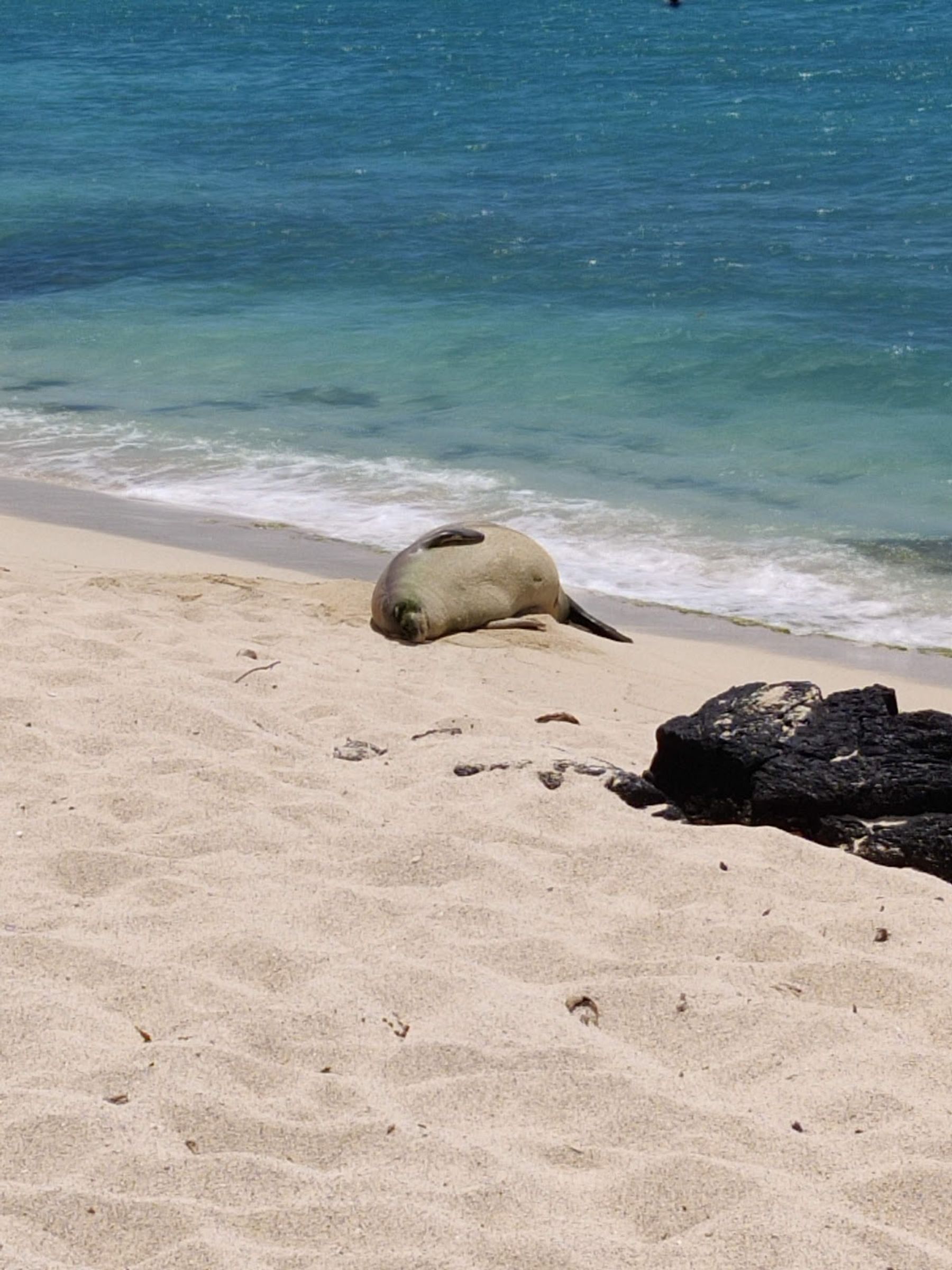 Photo 8 of Mahai'ula beach in Kailua-Kona, Big Island