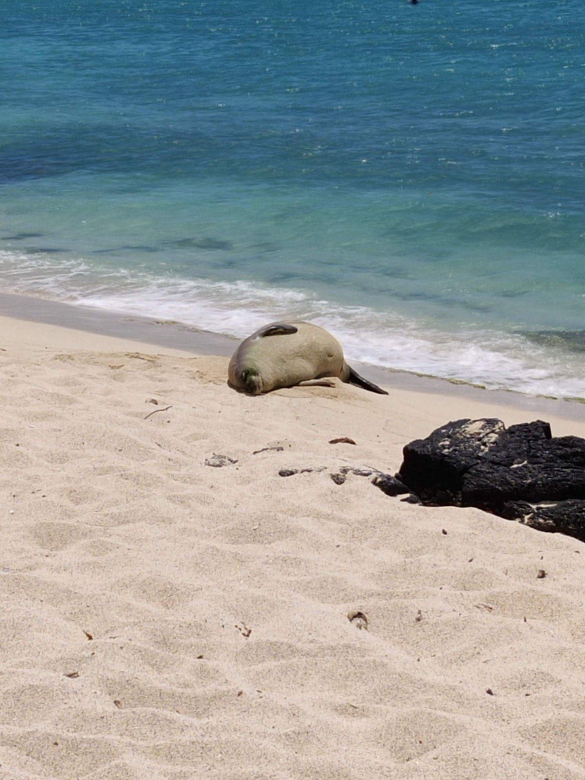 Photo 8 of Mahai'ula beach in Kailua-Kona, Big Island