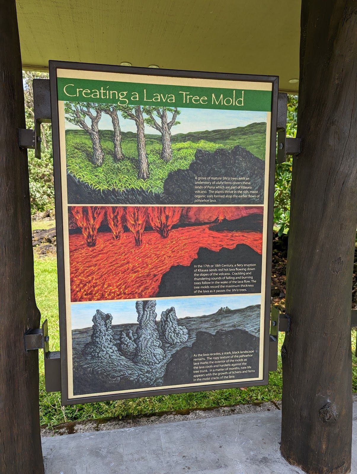Photo 3 of Lava Tree State Monument in Pāhoa, Big Island