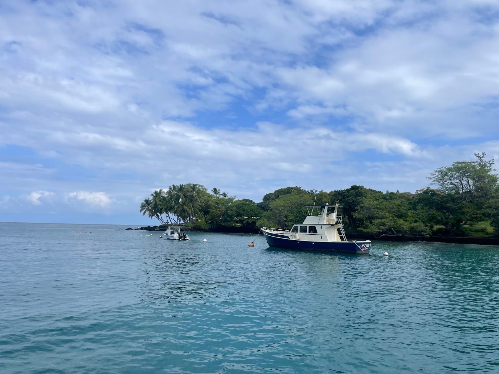 Photo 9 of Fair Wind Cruises in Kailua-Kona, Big Island