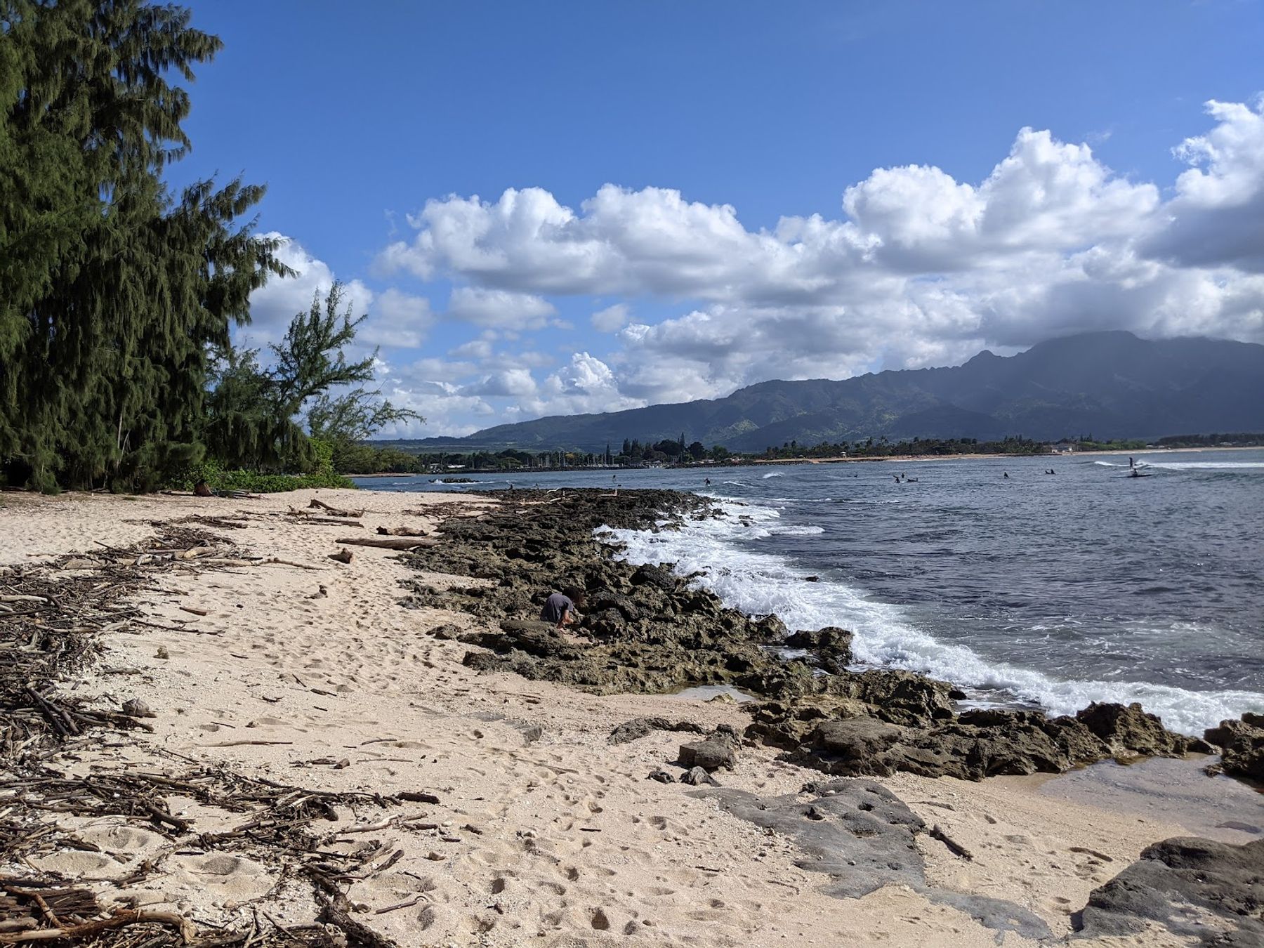 Photo 3 of Puaʻena Point Beach Park in Haleʻiwa, Oahu