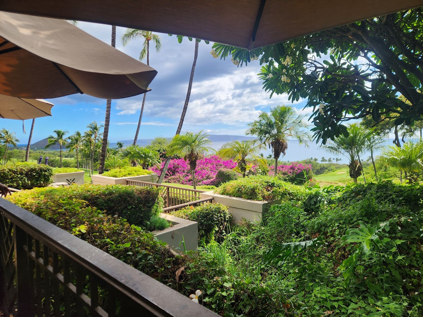 Photo 6 of Gather on Maui for Food + Drink in Wailea, Maui