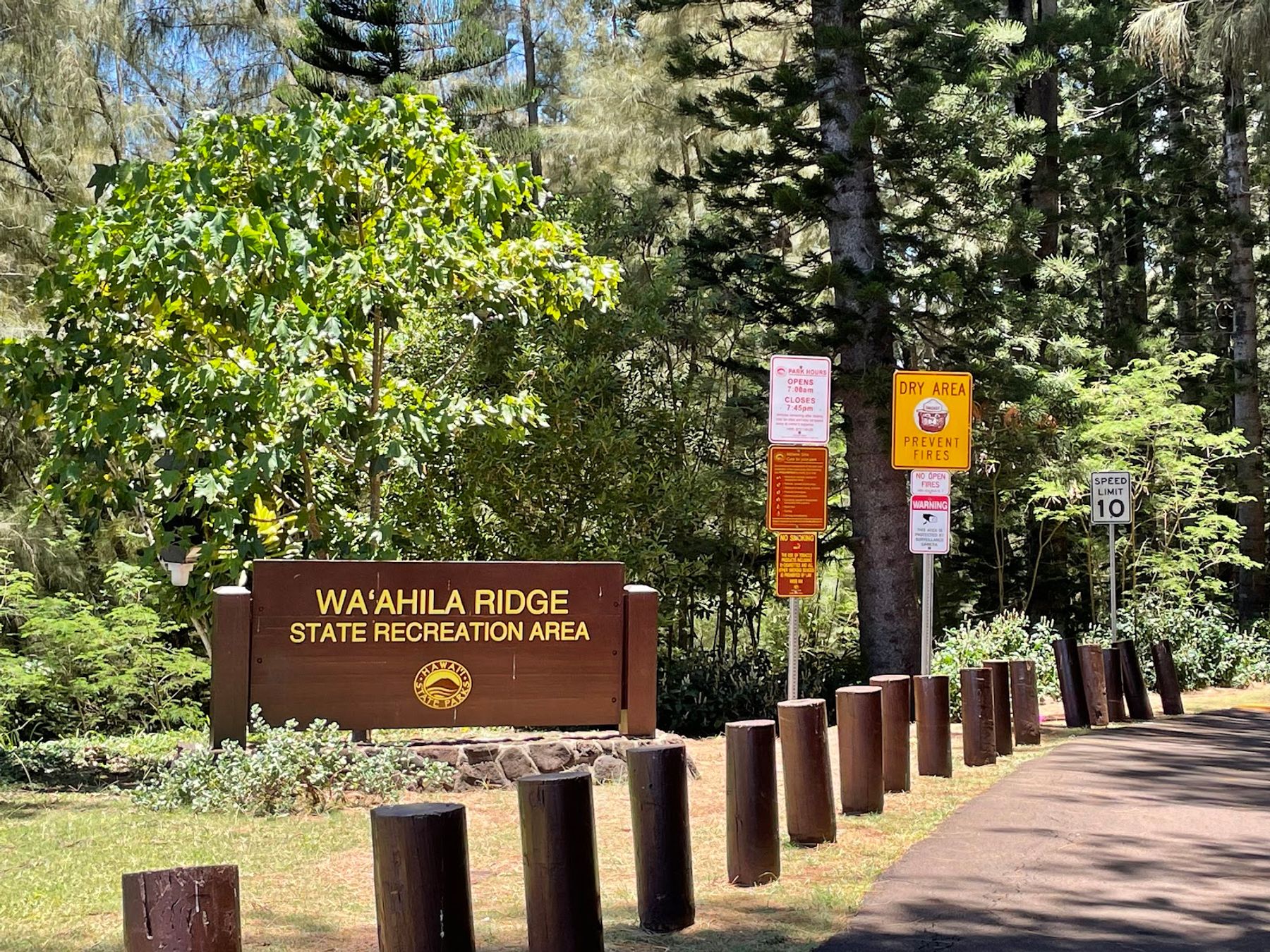Photo 9 of Waʻahila Ridge State Recreation Area in Mānoa, Makiki & Nuʻuanu, Oahu