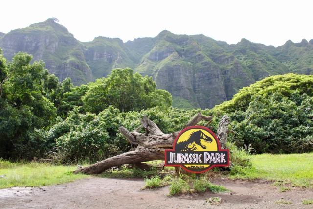 Cinematic green valley scenery at Kualoa Ranch on windward Oahu.