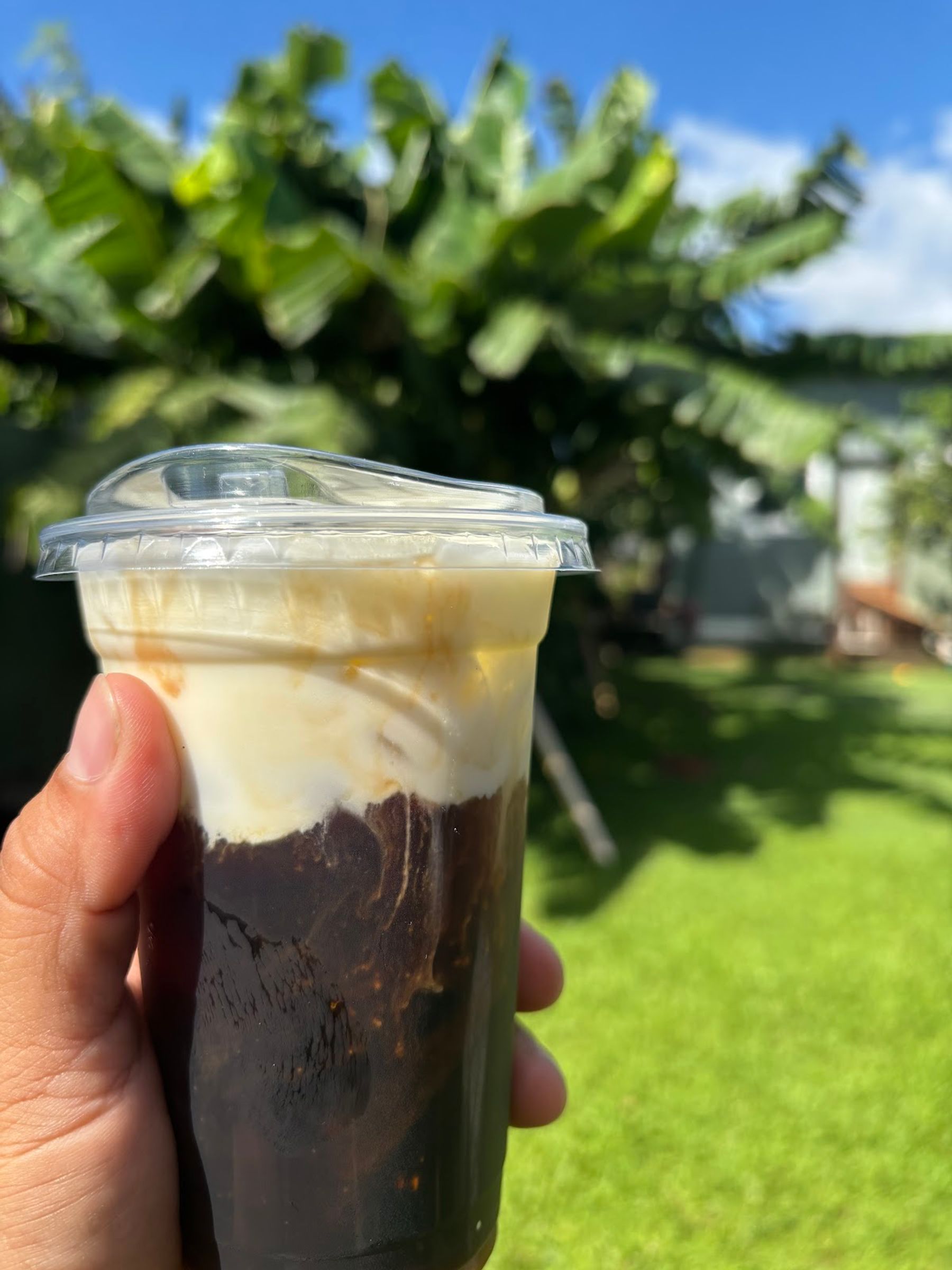 Photo 8 of Pilina Coffee in Hanapēpē, Kauai