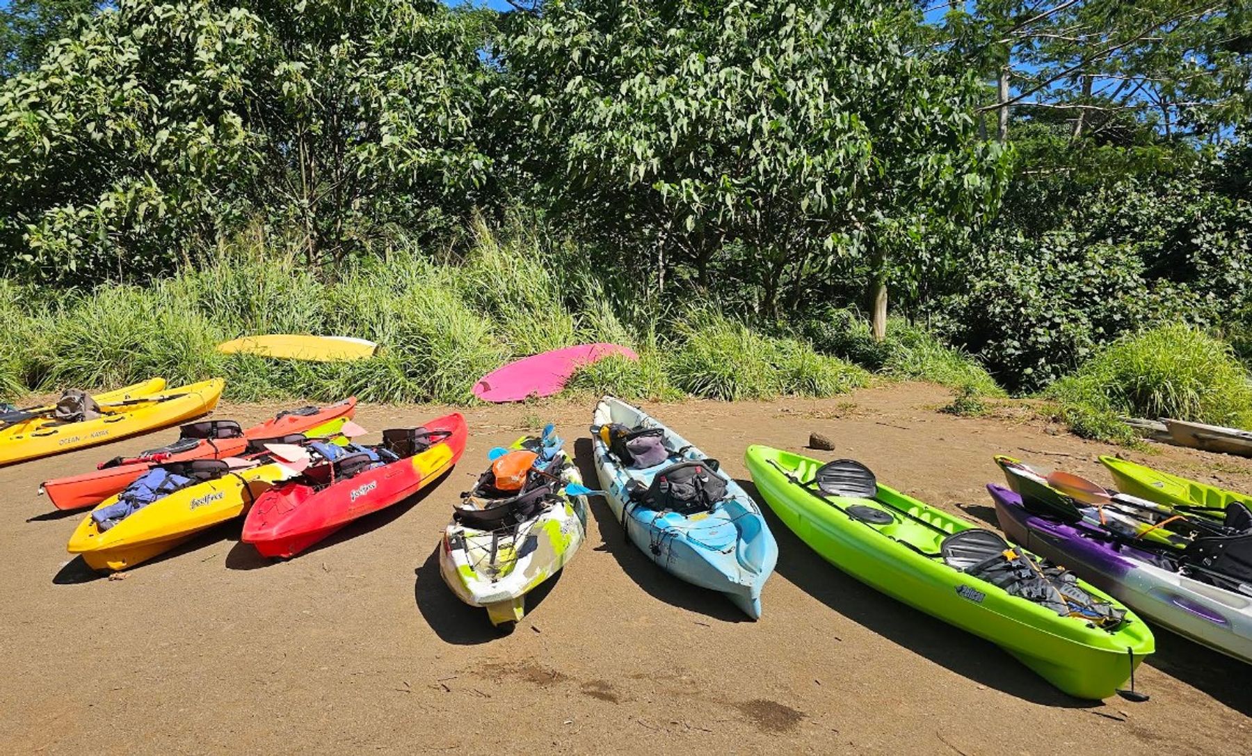 Uluwehi (Secret) Falls in Kapaʻa, Kaua‘i photo 7