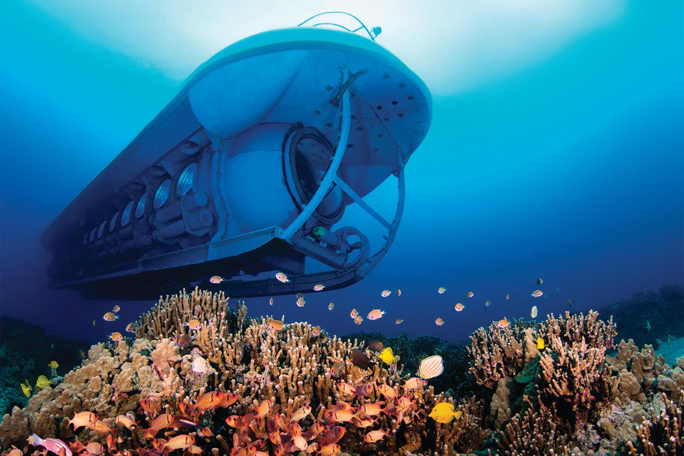 Photo 1 of Atlantis Submarines Kona in Kailua-Kona, Big Island