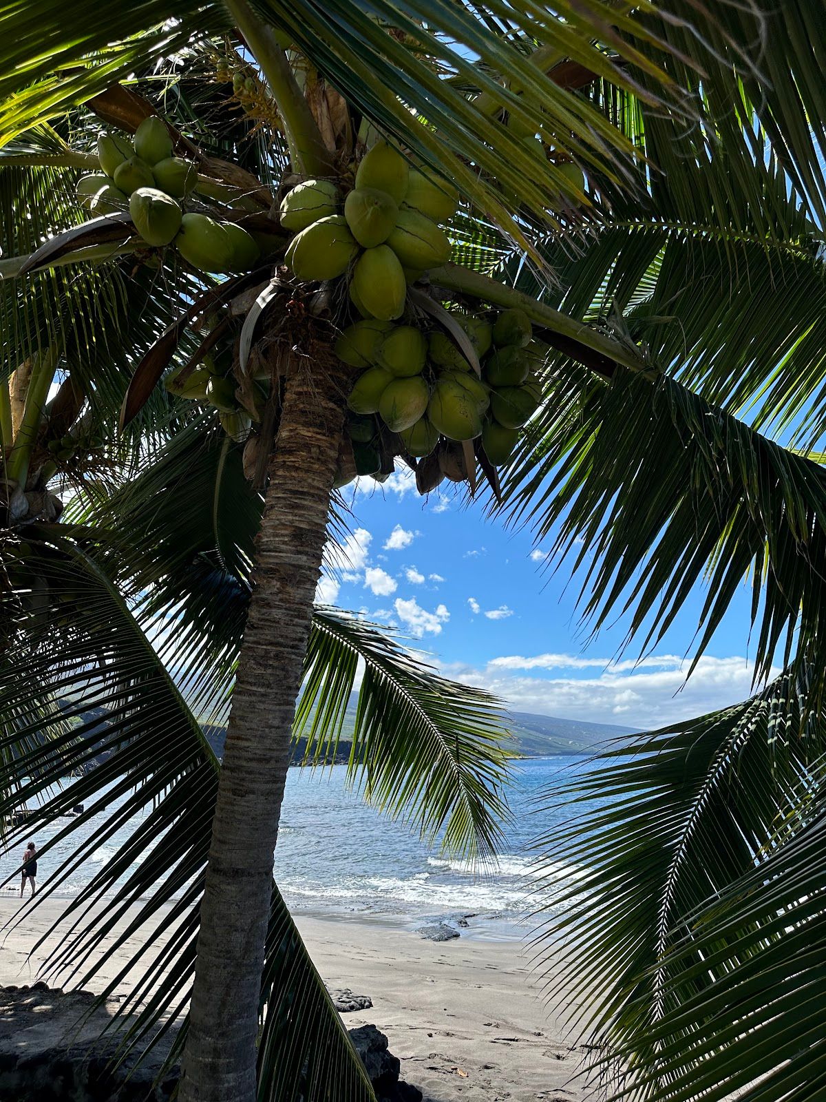 Photo 10 of Ho‘okena Beach Park in South Kona, Big Island