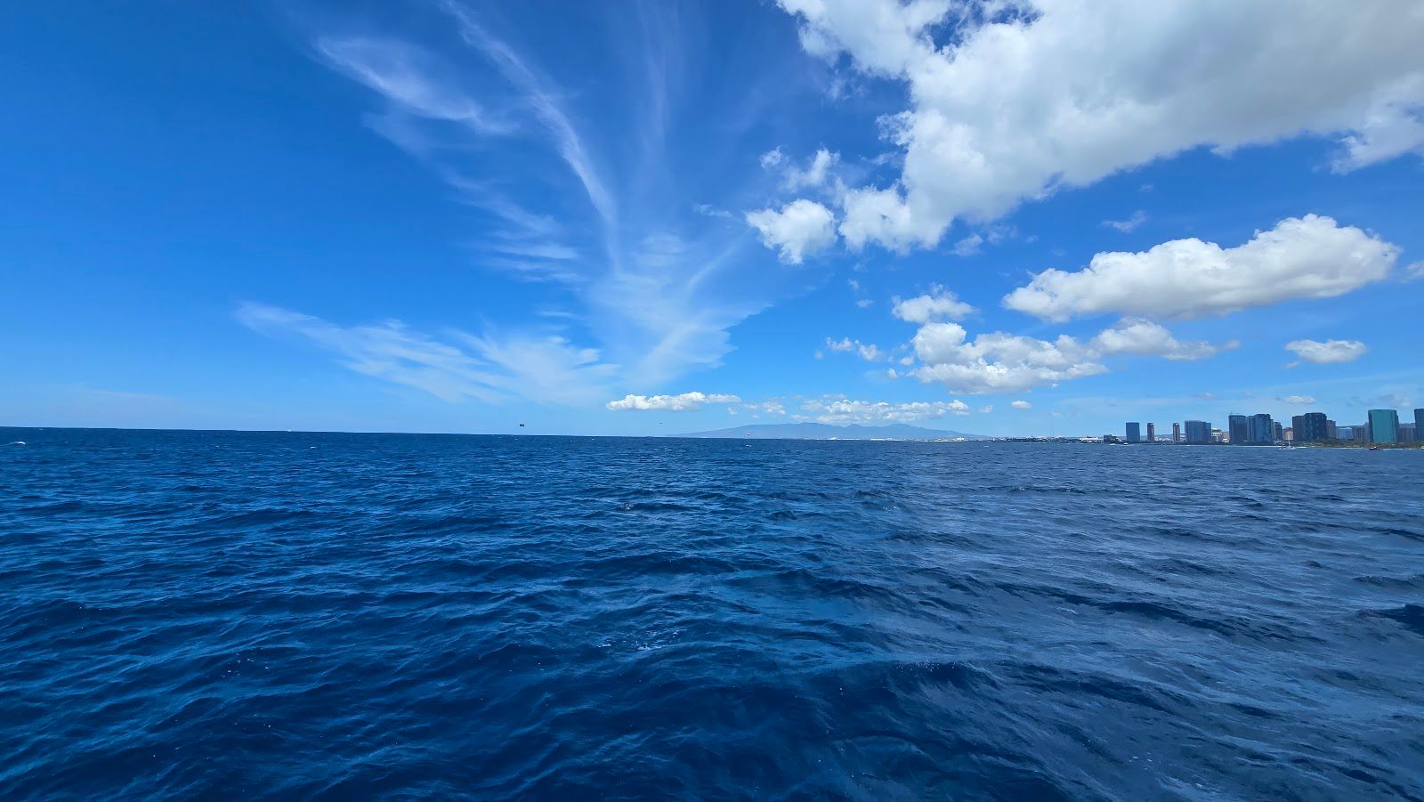 Photo 9 of Hawaii Glass Bottom Boats in Ala Moana & Mōʻiliʻili, Oahu