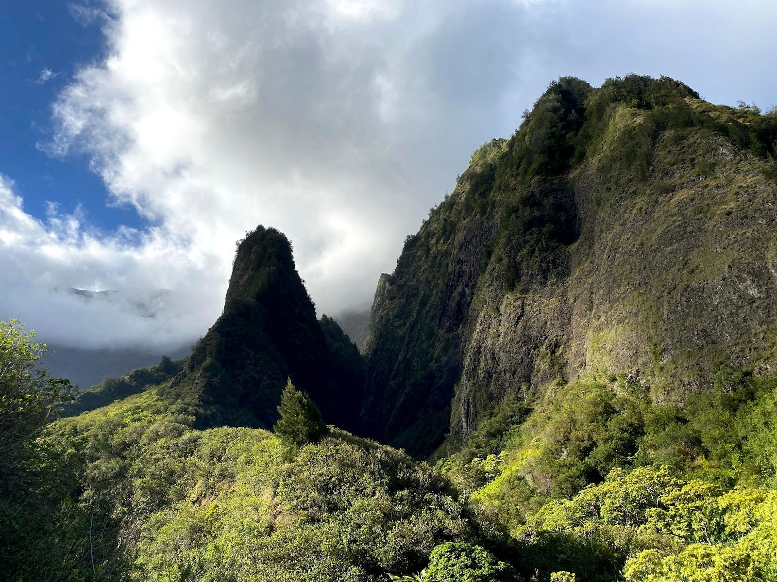 Photo 1 of ʻIao Needle Lookout Trail and Ethnobotanical Loop in Wailuku, Maui