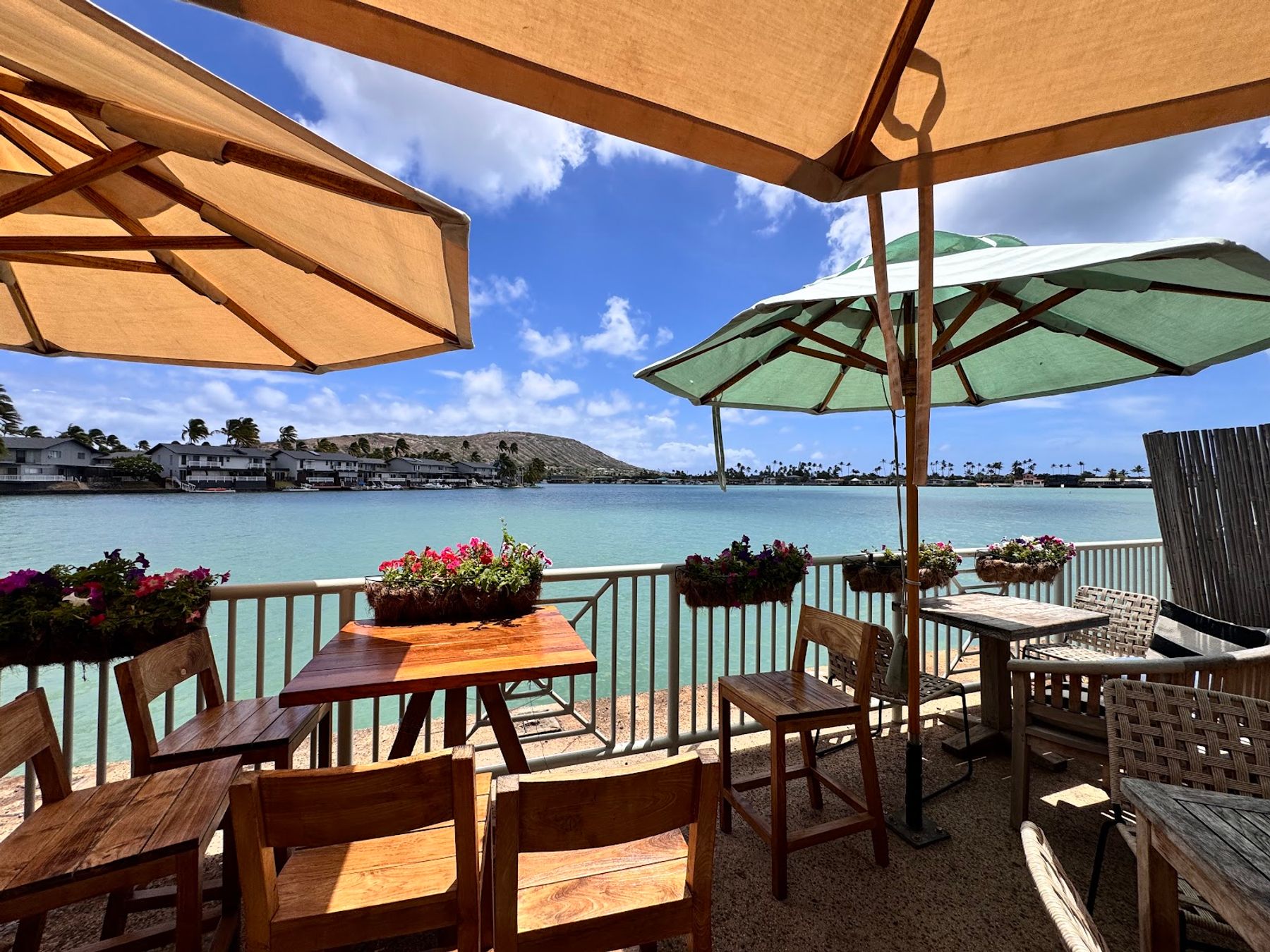 Photo 8 of Island Brew Coffeehouse in Hawaiʻi Kai & East Honolulu, Oahu