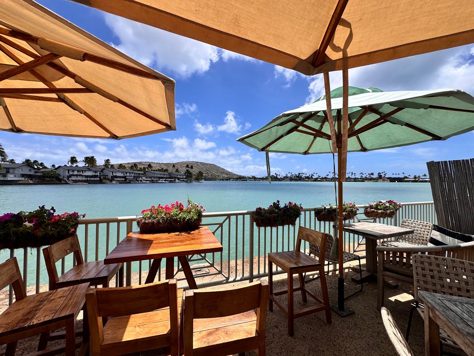 Photo 8 of Island Brew Coffeehouse in Hawaiʻi Kai & East Honolulu, Oahu